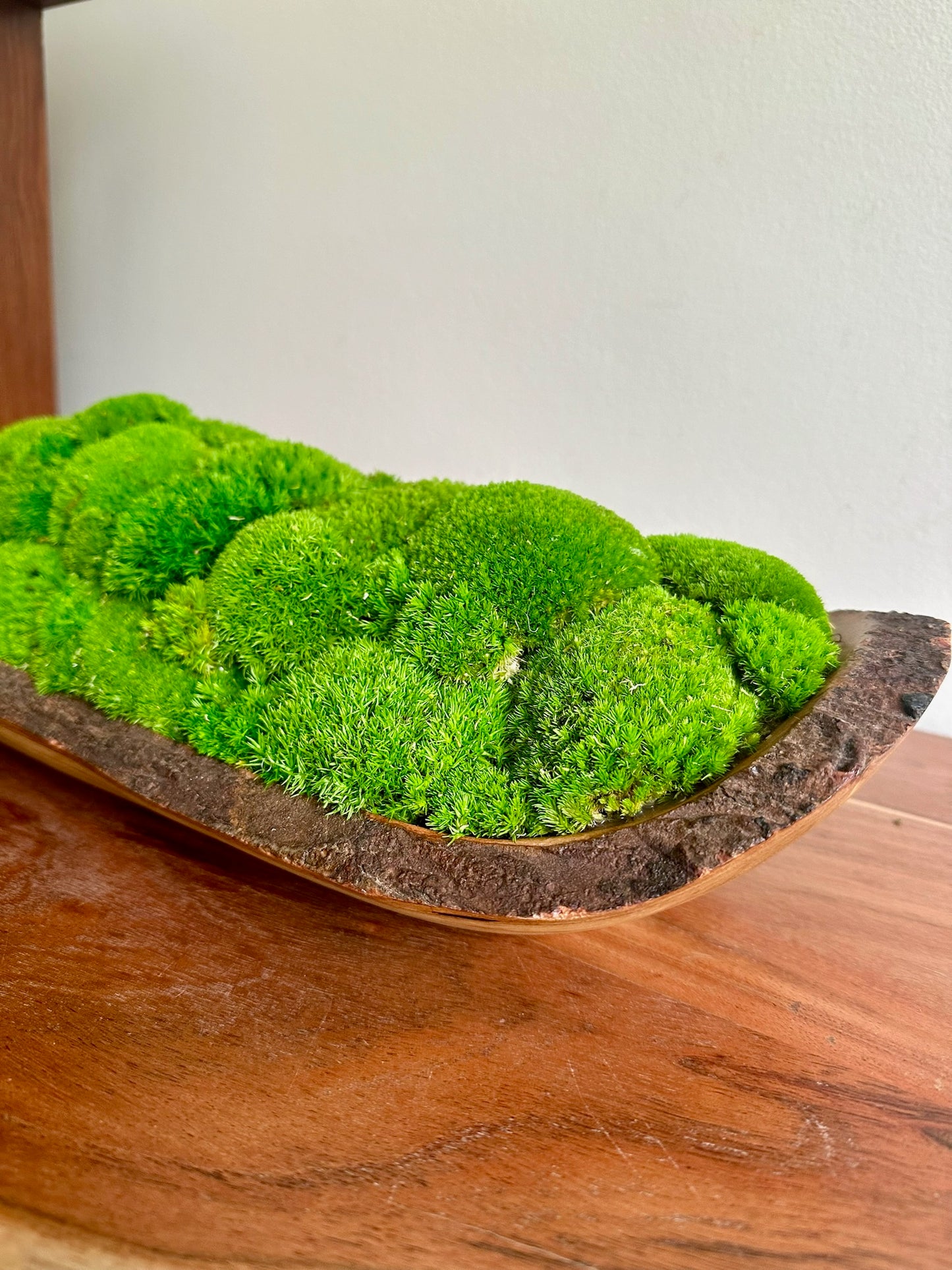 Moss Centerpiece Large | Pole Moss | Moss Planter | Preserved Moss Gift | Wood Nature Bowl | Green Pole Moss | Gift | Wedding