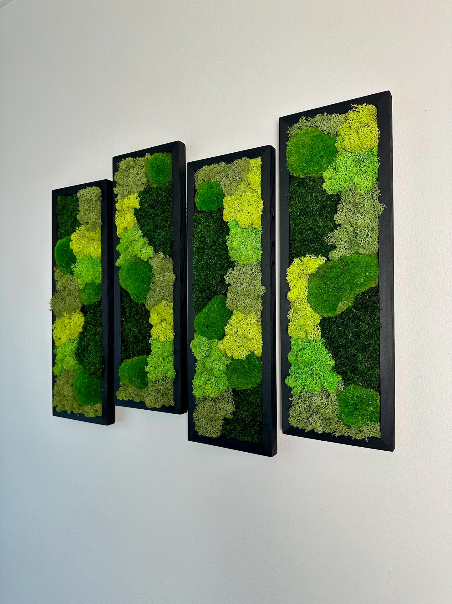 Long Rectangle Preserved Moss Decor - 18" by 5" - Pole & Reindeer Moss