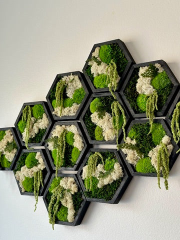 Moss Wall Art | Honeycomb Moss Single to Set of Twelve | Wood Hexagon | Reindeer, Pole, Sheet Moss Amaranthus | Moss Wall Art | Unique Gift