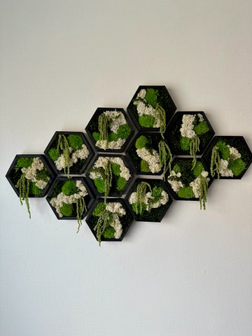 Moss Wall Art | Honeycomb Moss Single to Set of Twelve | Wood Hexagon | Reindeer, Pole, Sheet Moss Amaranthus | Moss Wall Art | Unique Gift
