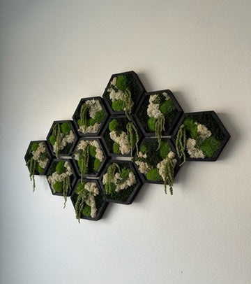 Moss Wall Art | Honeycomb Moss Single to Set of Twelve | Wood Hexagon | Reindeer, Pole, Sheet Moss Amaranthus | Moss Wall Art | Unique Gift