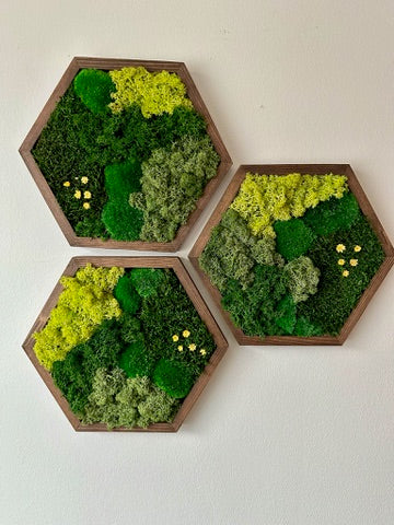 Moss Wall Art Decor | Single Set to Six (10" x 11.6" or 8" x 9.6") | Preserved Lichen, Pole and Sheet Moss & Fern
