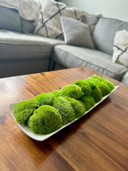 Moss Centerpiece | Mood Moss | Preserved Moss Gift | Ceramic Centerpiece Bowl | One of a Kind | Green Mood Moss | Wedding Centrepiece (Copy)