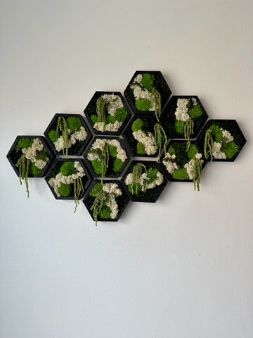 Moss Wall Art | Honeycomb Moss Single to Set of Twelve | Wood Hexagon | Reindeer, Pole, Sheet Moss Amaranthus | Moss Wall Art | Unique Gift