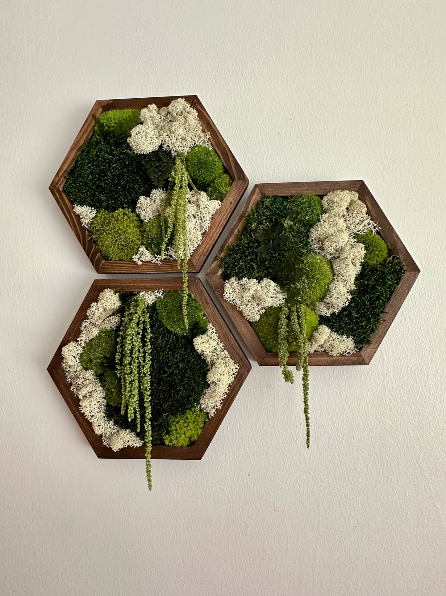 Hexagon Frame - 10” x 11.6” - Sheet, Pole and Reindeer Moss with Light Green Amaranthus (Copy)