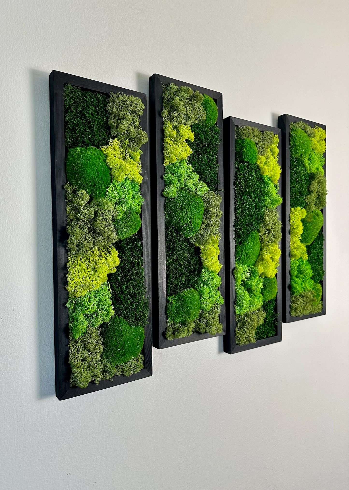 Long Rectangle Preserved Moss Decor - 18" by 5" - Pole & Reindeer Moss