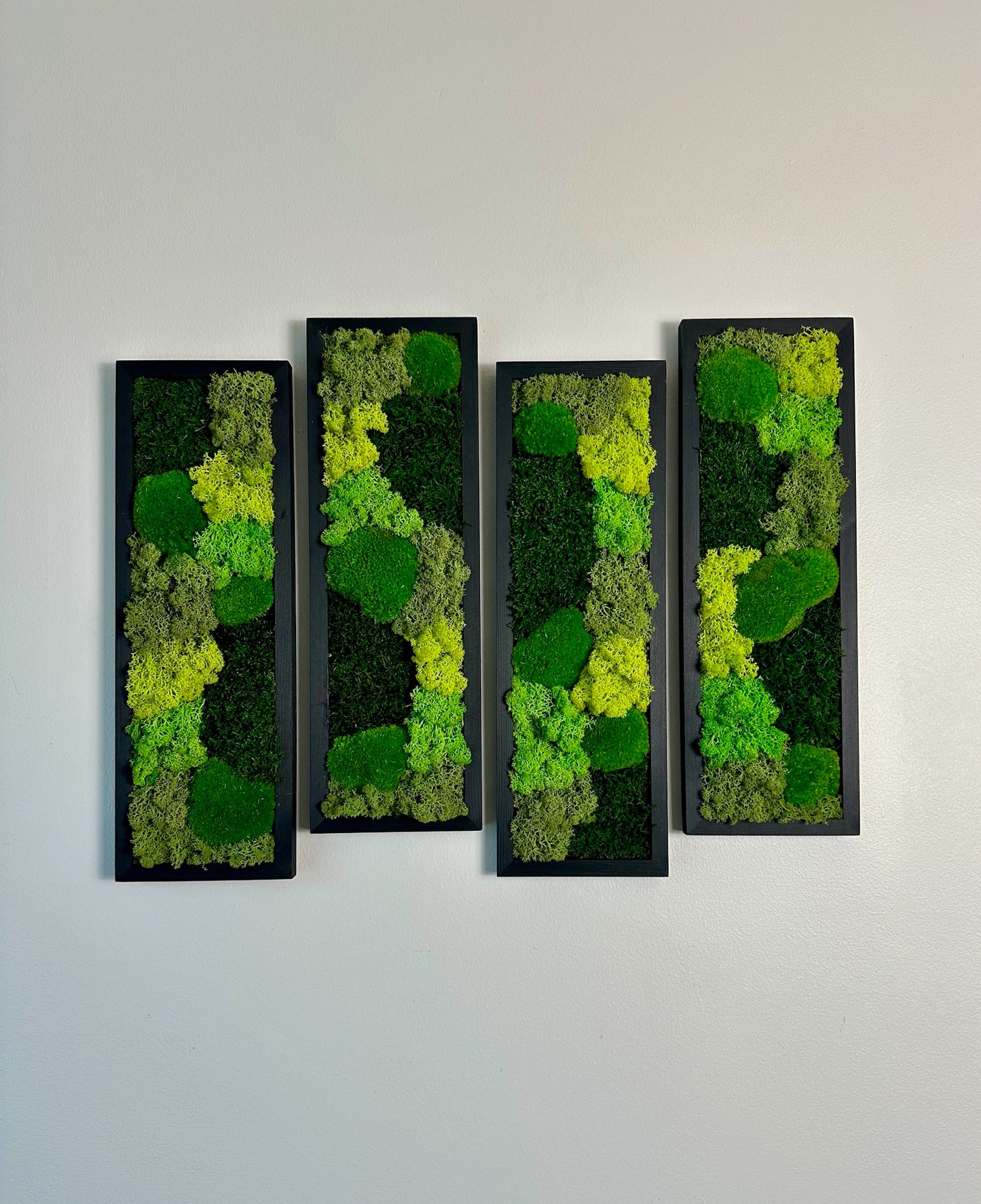 Long Rectangle Preserved Moss Decor - 18" by 5" - Pole & Reindeer Moss
