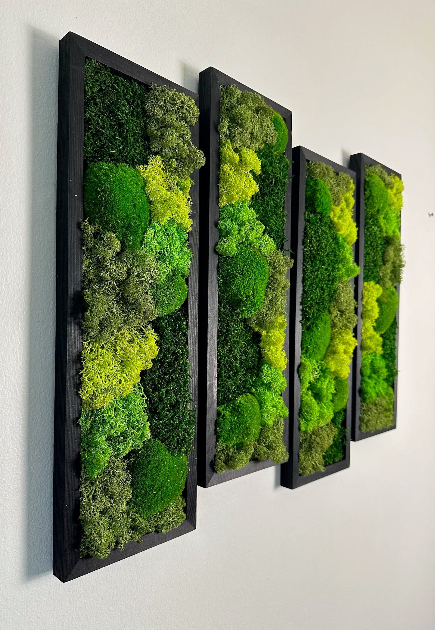 Long Rectangle Preserved Moss Decor - 18" by 5" - Pole & Reindeer Moss