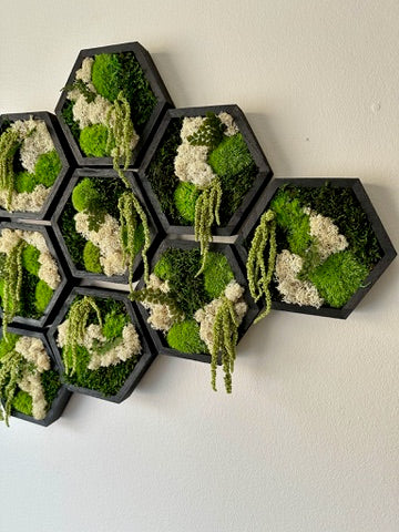 Moss Wall Art | Honeycomb Moss Single to Set of Twelve | Wood Hexagon | Reindeer, Pole, Sheet Moss Amaranthus | Moss Wall Art | Unique Gift