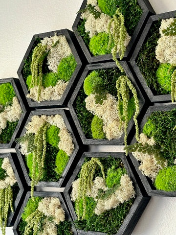 Moss Wall Art | Honeycomb Moss Single to Set of Twelve | Wood Hexagon | Reindeer, Pole, Sheet Moss Amaranthus | Moss Wall Art | Unique Gift