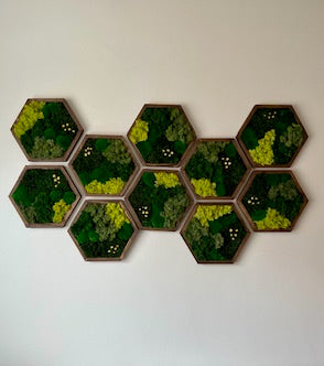 Moss Wall Art Decor | Single Set to Six (10" x 11.6" or 8" x 9.6") | Preserved Lichen, Pole and Sheet Moss & Fern