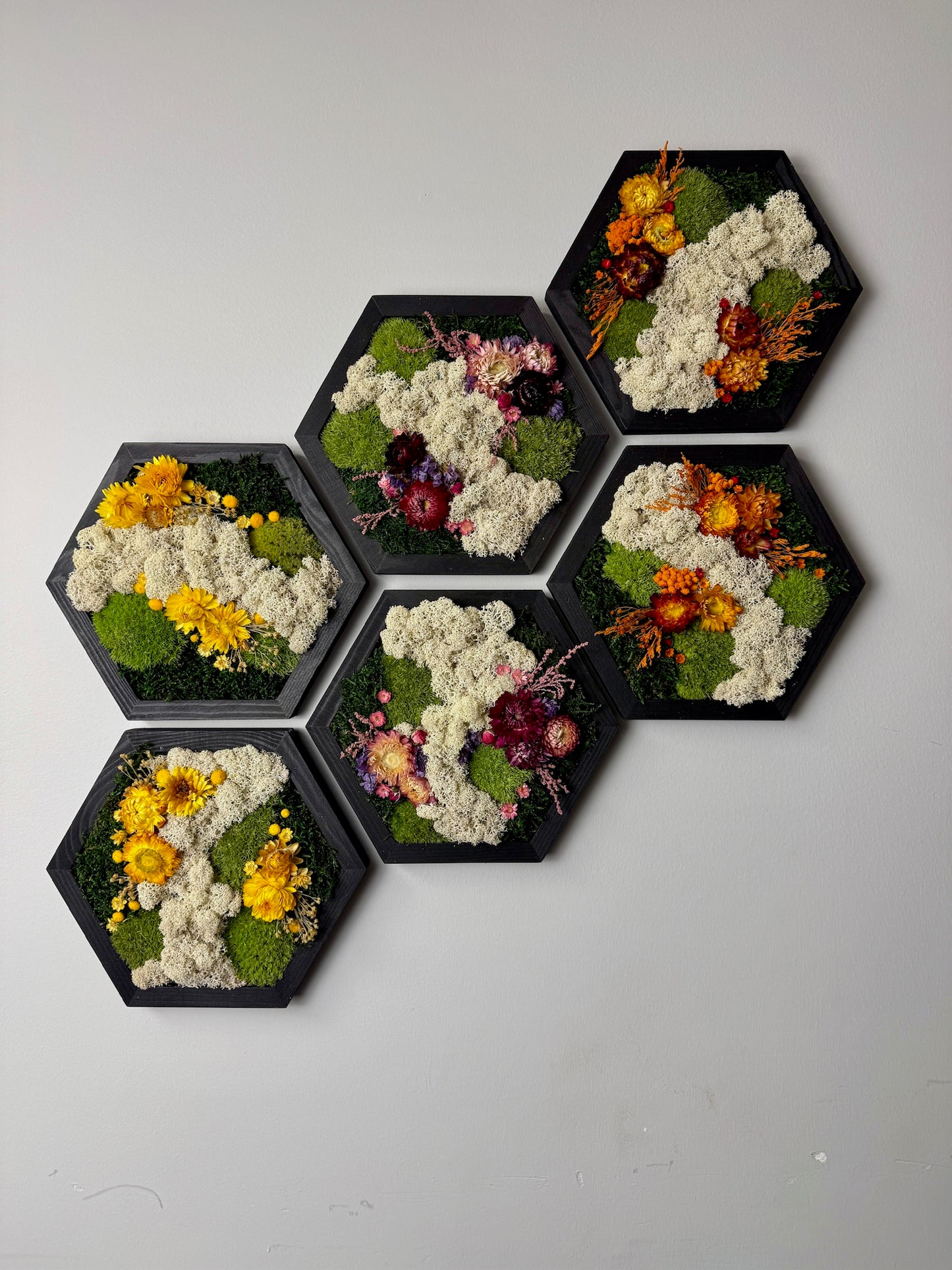 Honeycomb Moss Wall Art: Wood Hexagon Frame, Reindeer Moss & Flowers | USA - TARIFF FREE