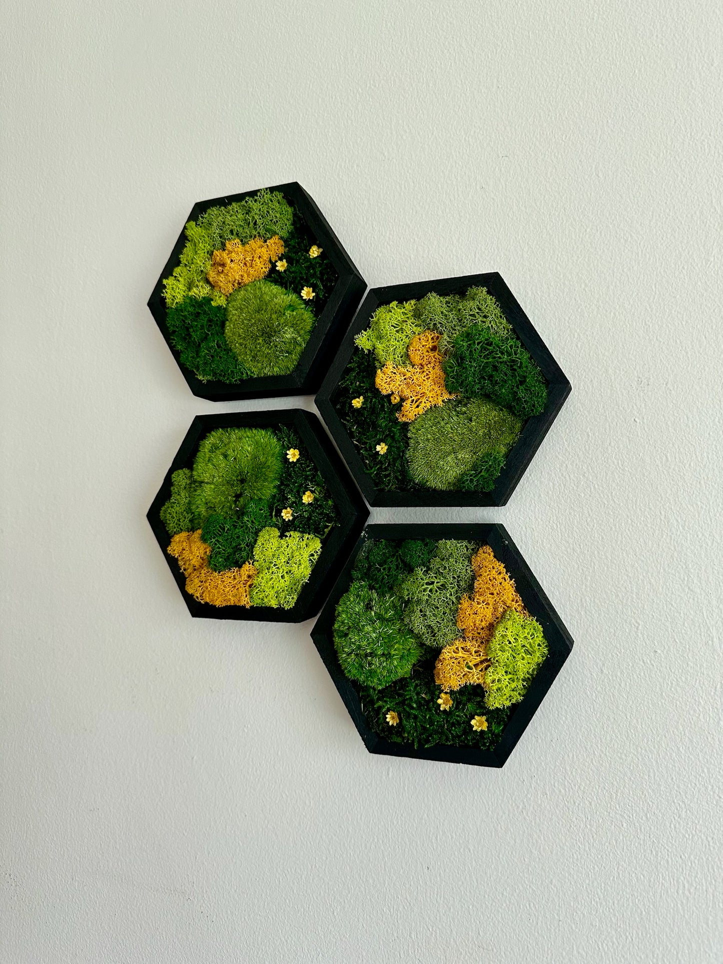 Shades of Green & Yellow Flowers - Hexagon - Reindeer, Pole & Sheet Moss