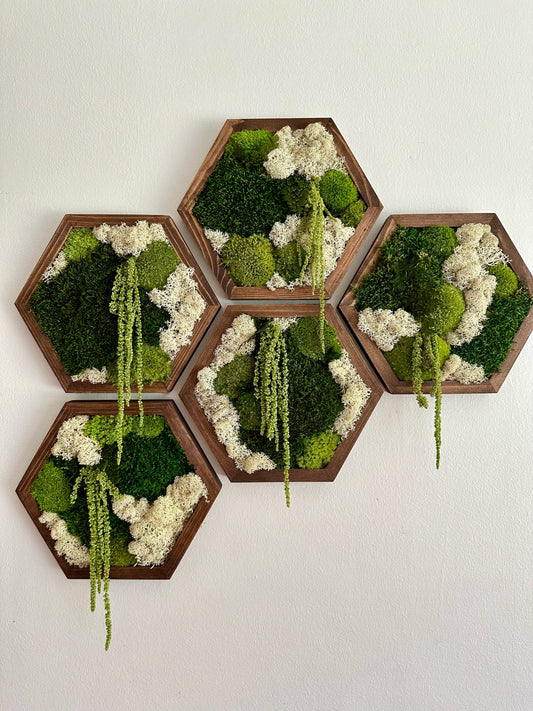 Hexagon Frame - 10” x 11.6” - Sheet, Pole and Reindeer Moss with Light Green Amaranthus (Copy)