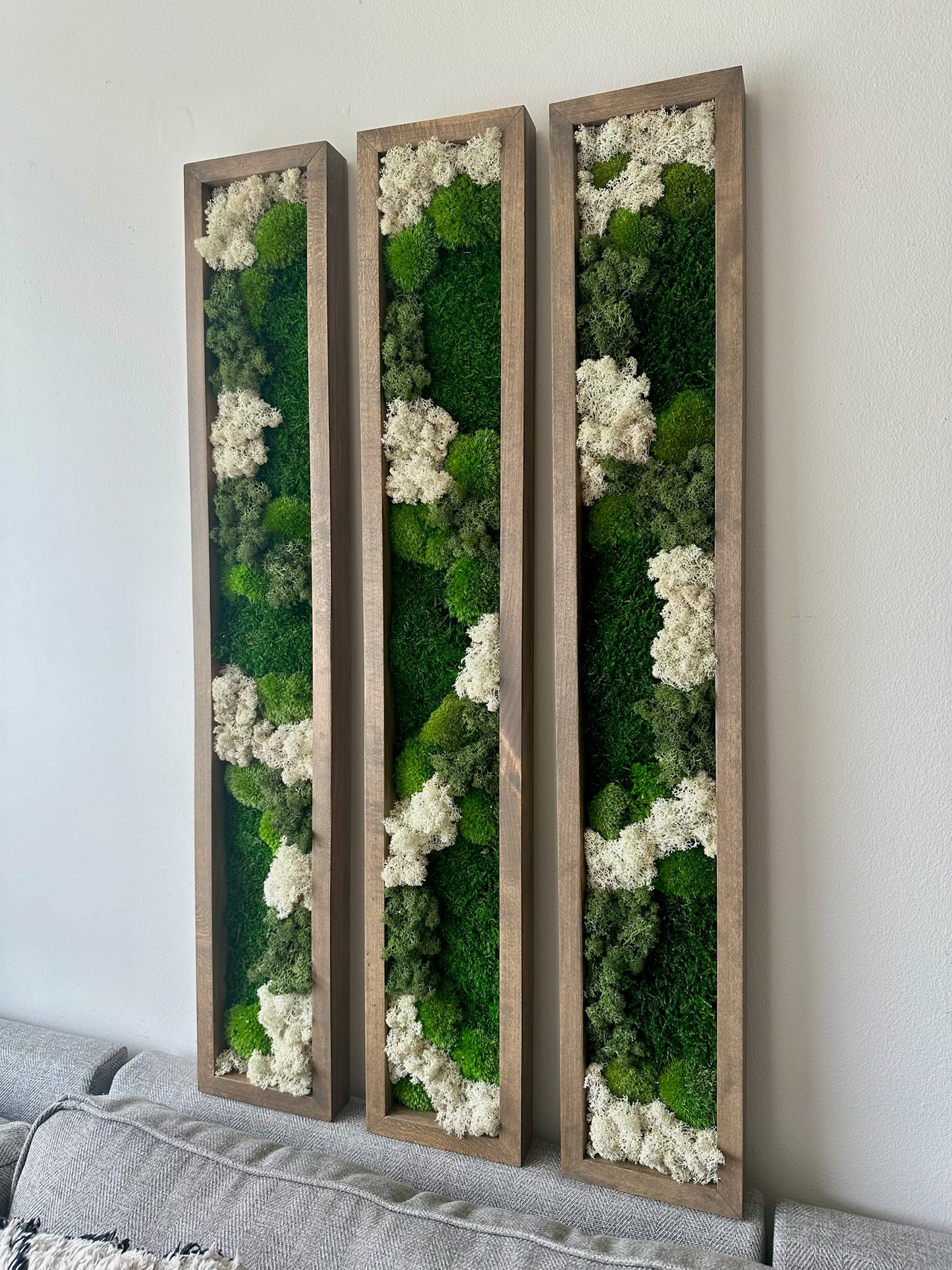 Long Rectangle Preserved Moss Decor -6” x 36” - Pole & Reindeer Moss