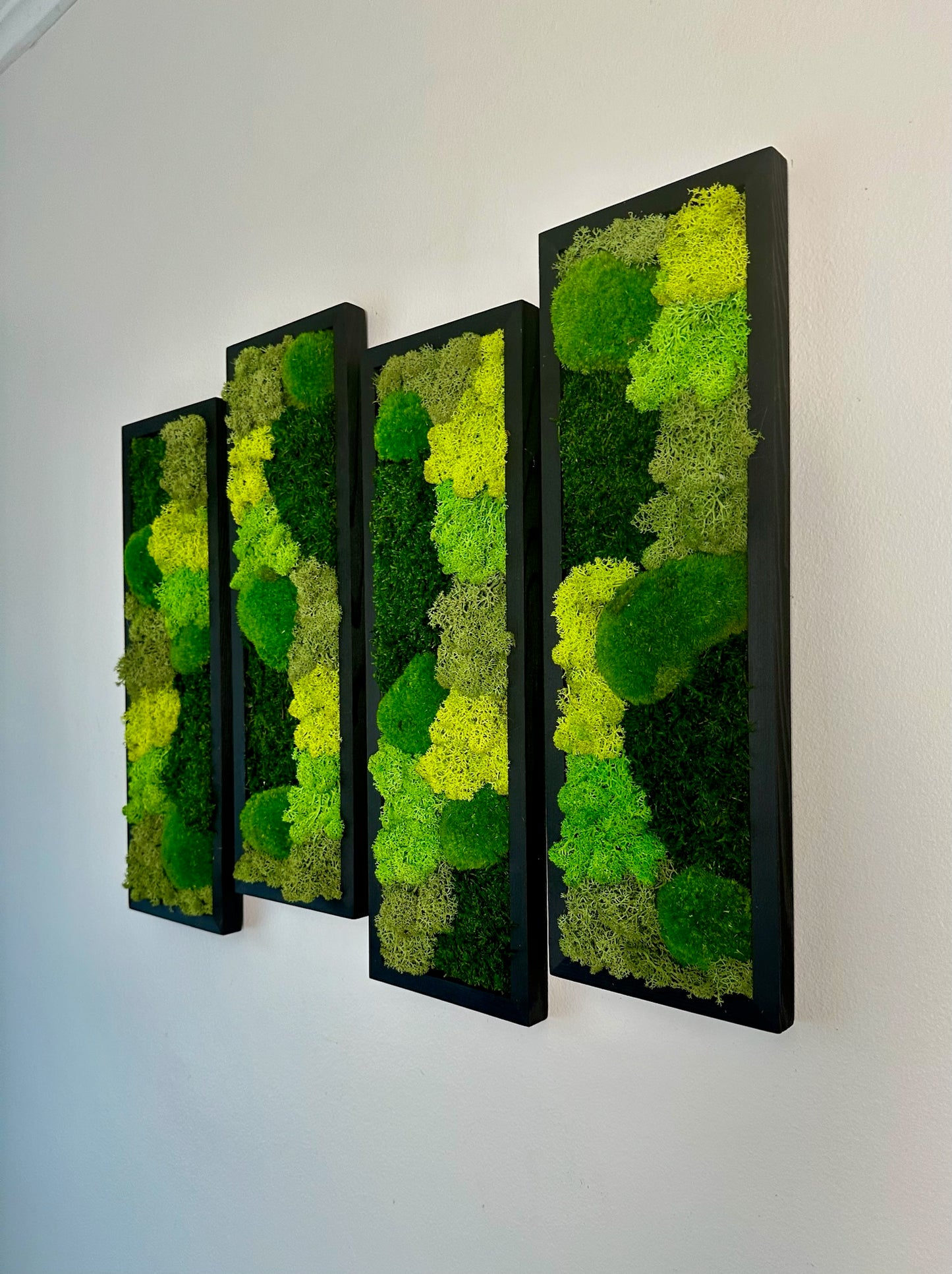 Long Rectangle Preserved Moss Decor - 18" by 5" - Pole & Reindeer Moss