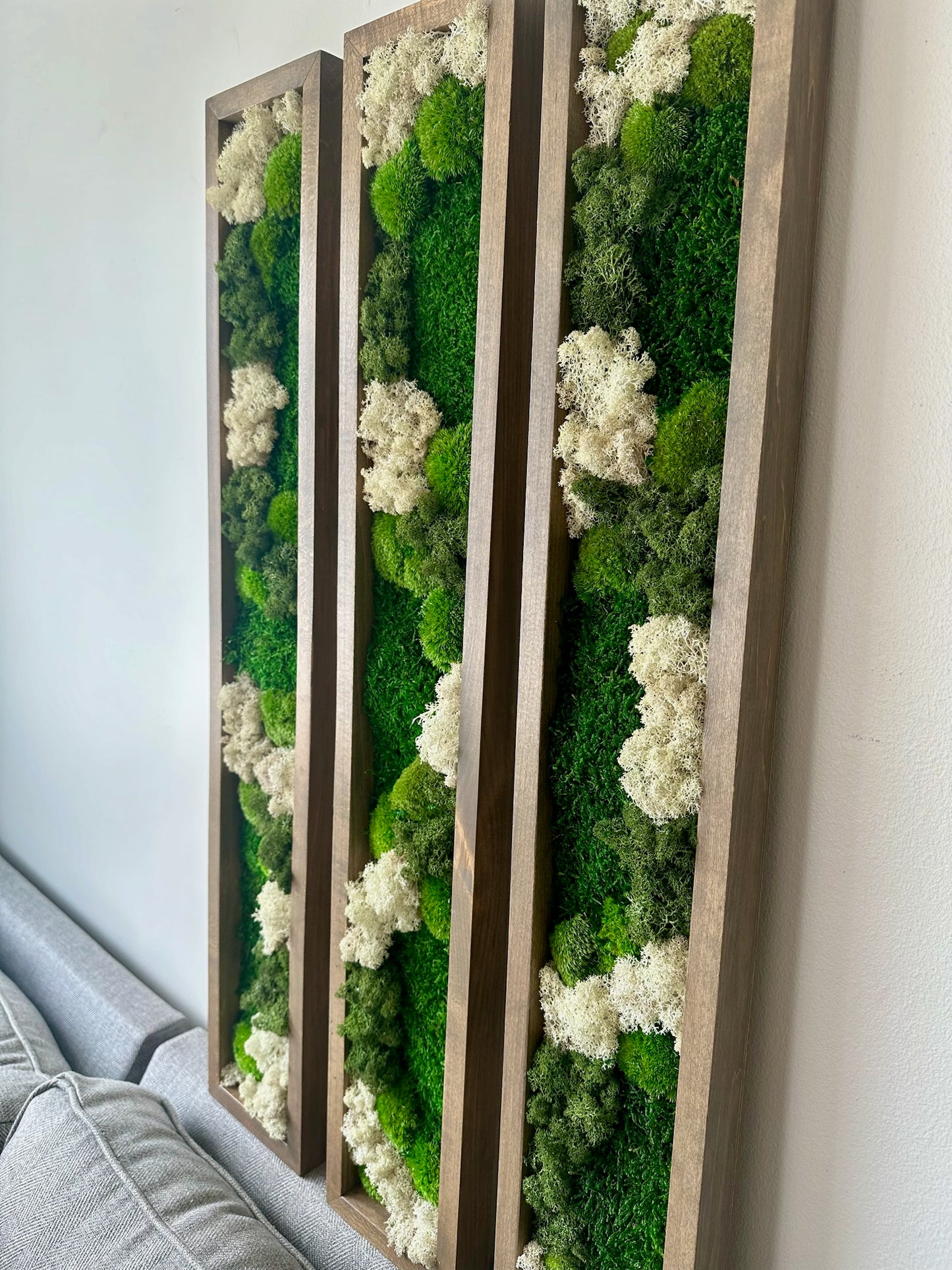 Long Rectangle Preserved Moss Decor -6” x 36” - Pole & Reindeer Moss