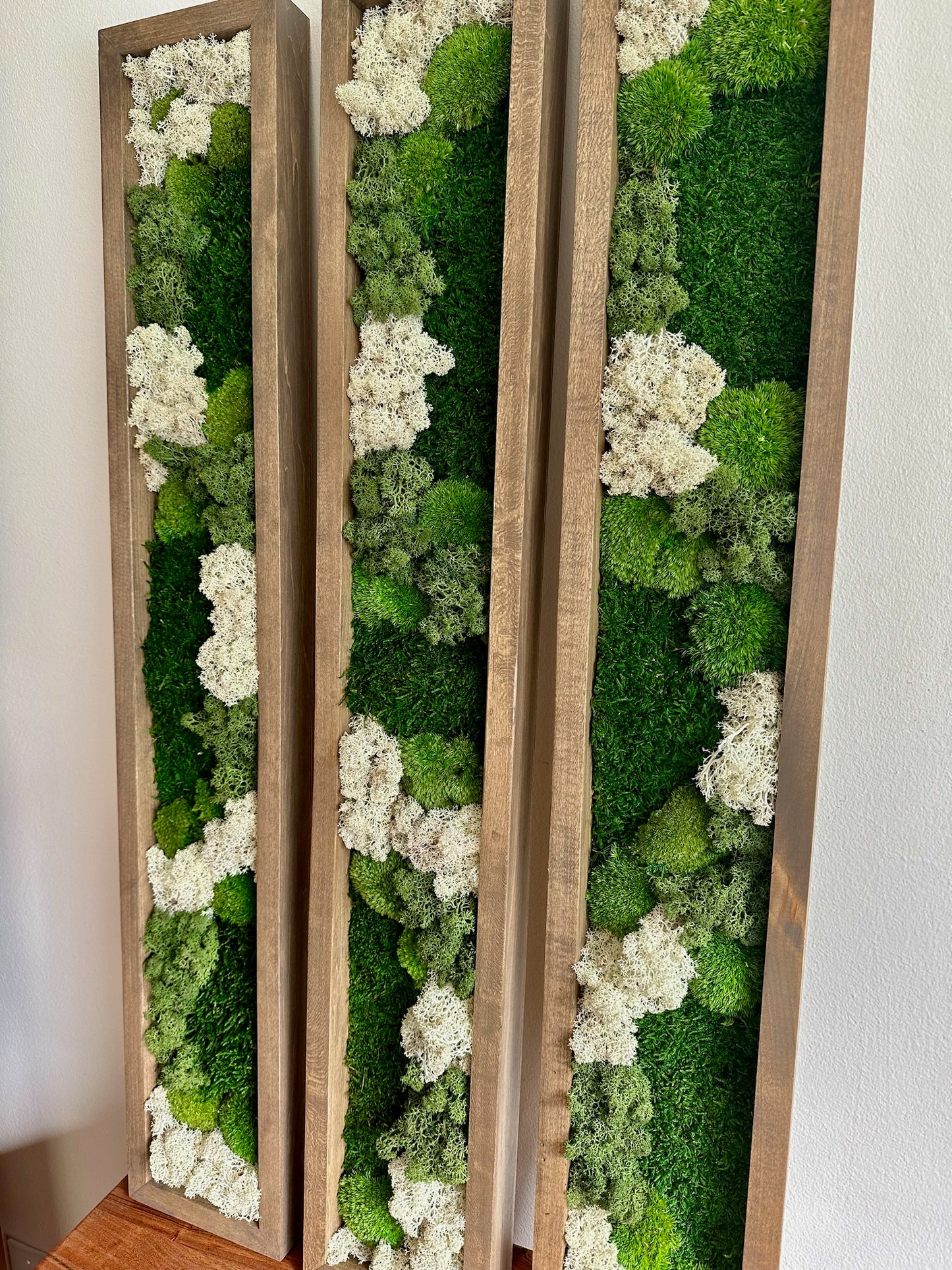 Long Rectangle Preserved Moss Decor -6” x 36” - Pole & Reindeer Moss