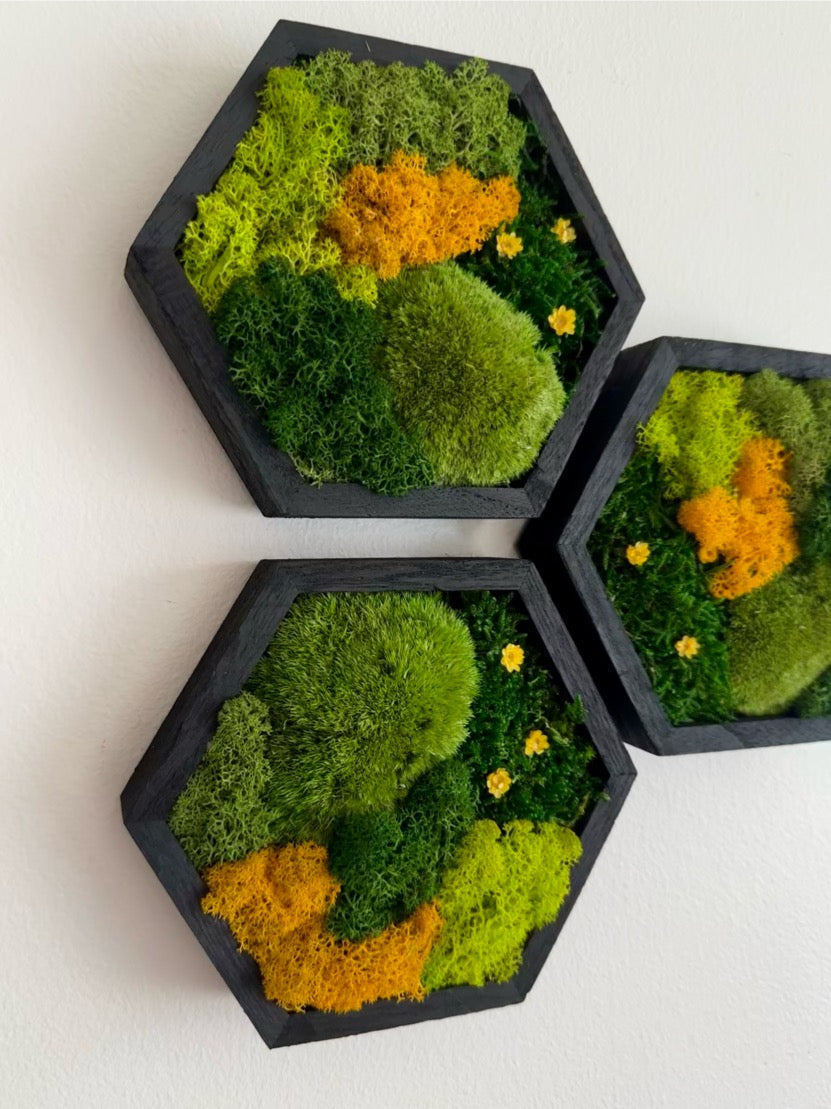 Shades of Green & Yellow Flowers - Hexagon - Reindeer, Pole & Sheet Moss