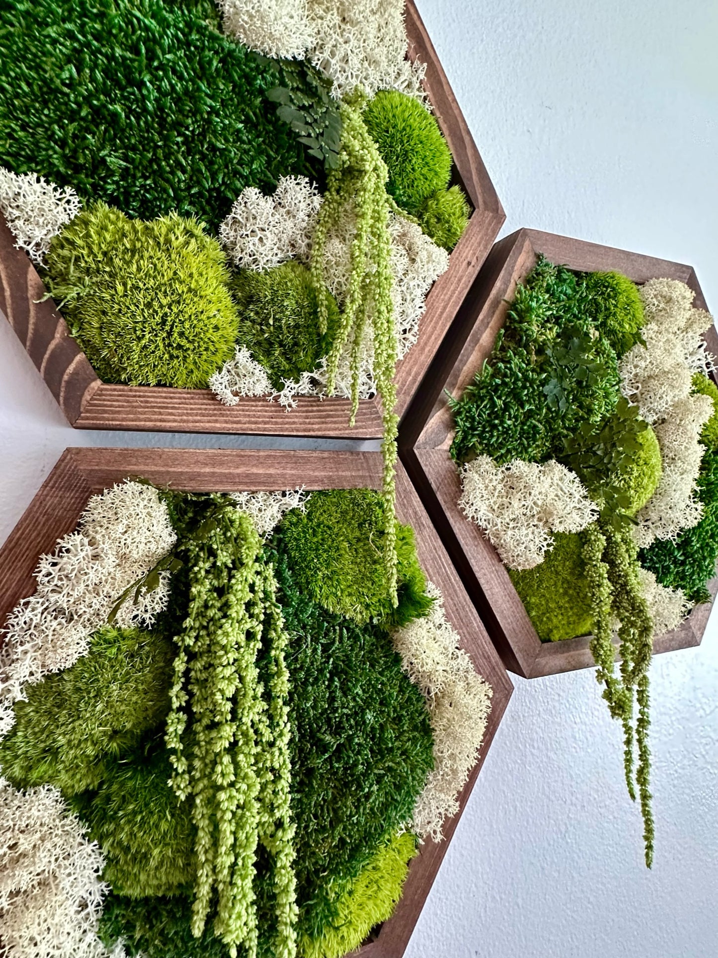 Hexagon Frame - 10” x 11.6” - Sheet, Pole and Reindeer Moss with Light Green Amaranthus (Copy)