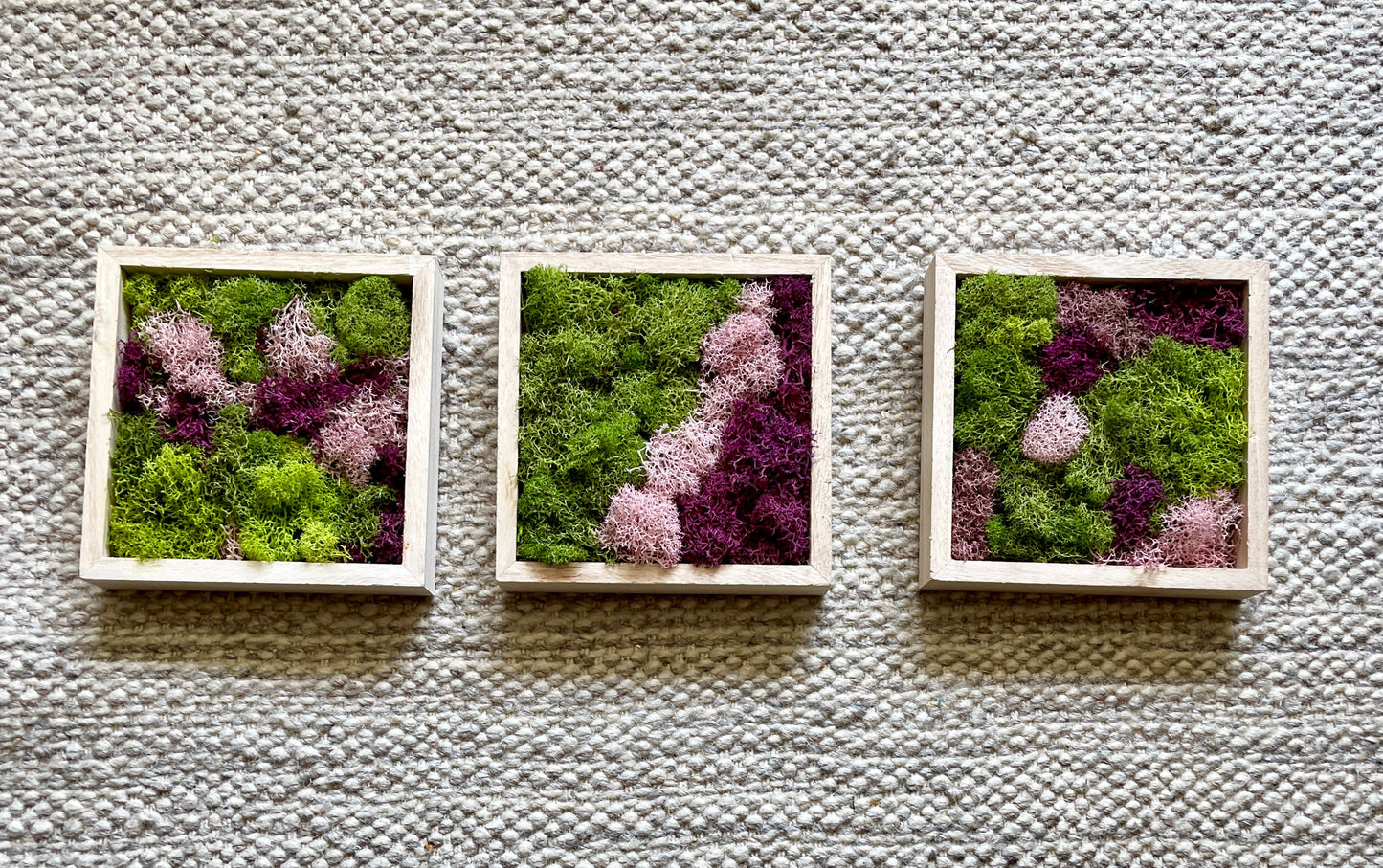 Preserved Moss Wall Art: Green & Pink Square Trio | USA - TARIFF FREE