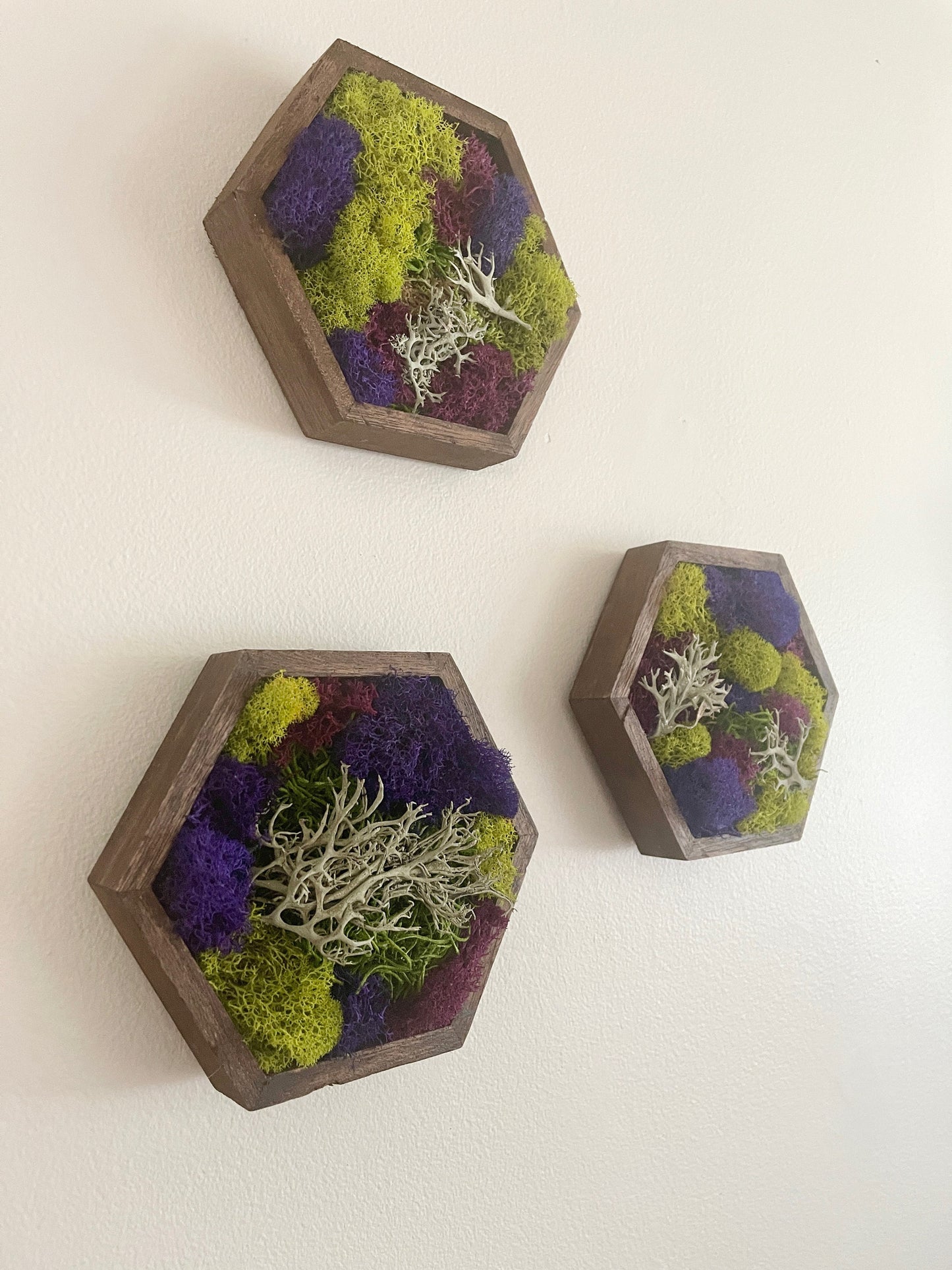 Honeycomb Moss | Wall Art | Home Decor | Wood Hexagon | Green and Mixed Colours