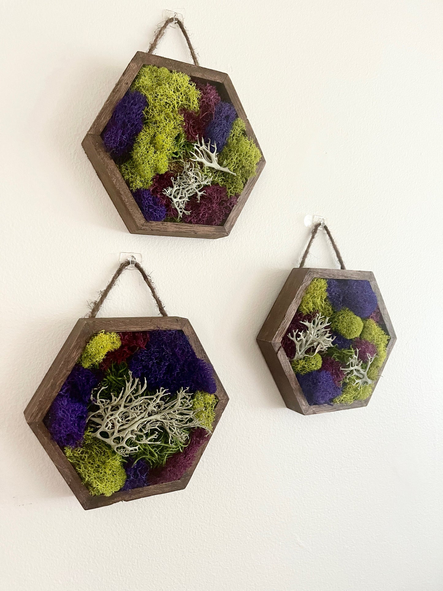 Preserved Reindeer Moss Hexagon Trio | Wood Wall Art