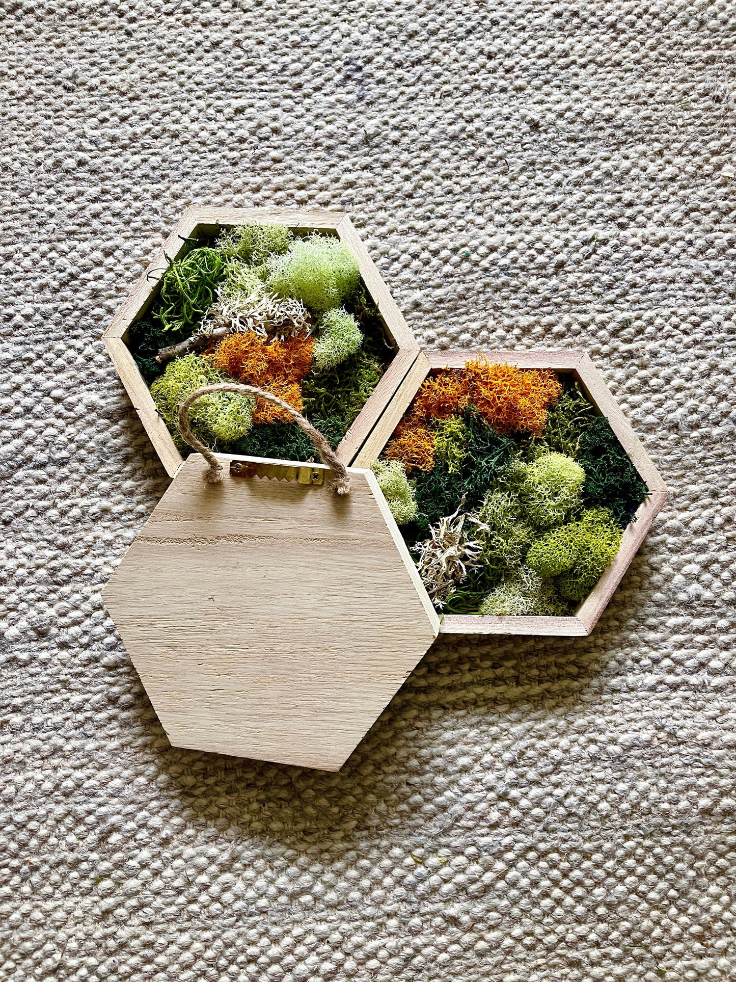 Honeycomb Moss | Preserved Moss Wall Art | Wall Art | Home Decor | Wood Hexagon | Green and Mustard/Orange