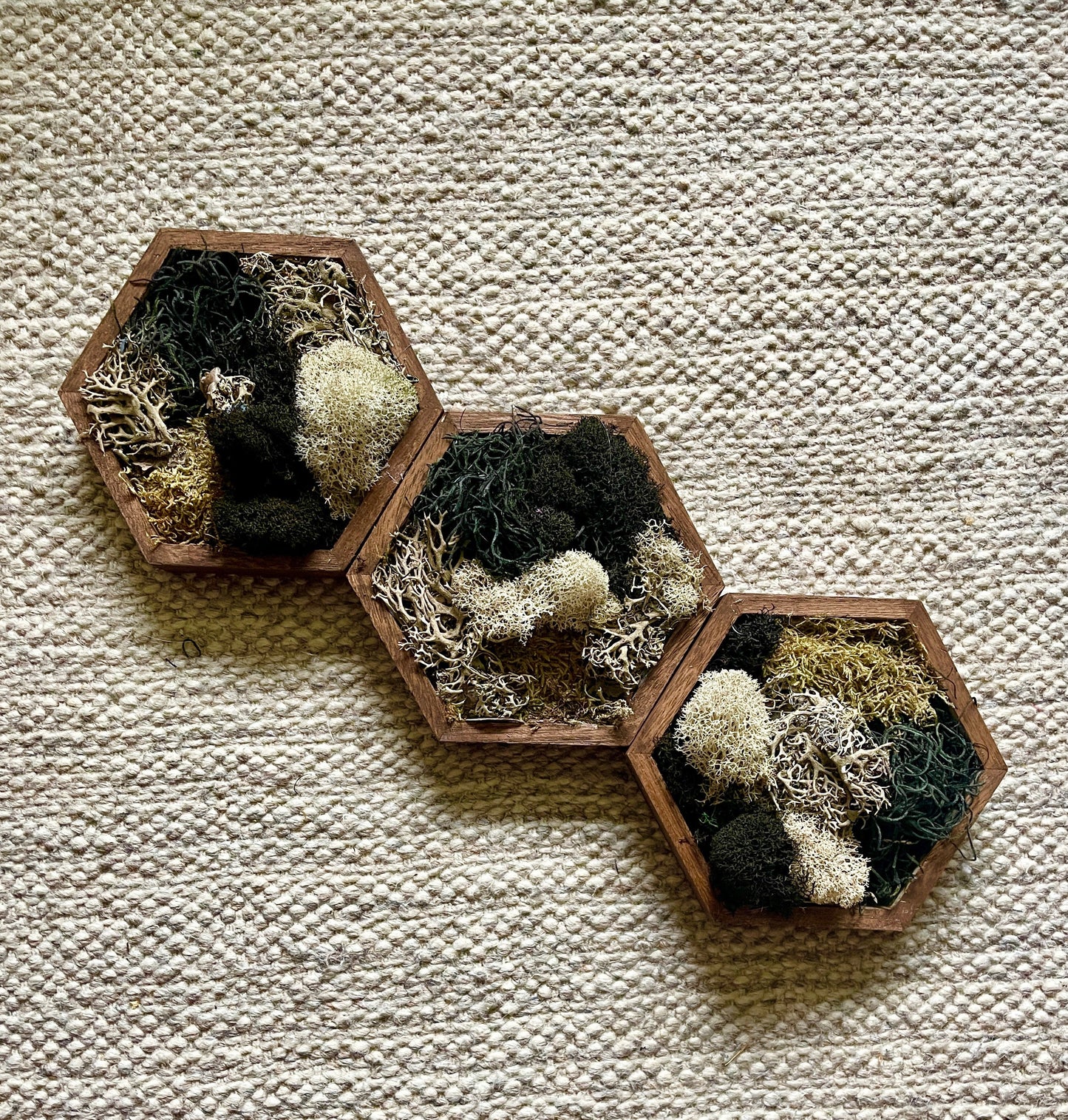Moss Wall Art | Honeycomb Moss | Home Decor | Wood Hexagon | Brown Beige Black Reindeer Moss