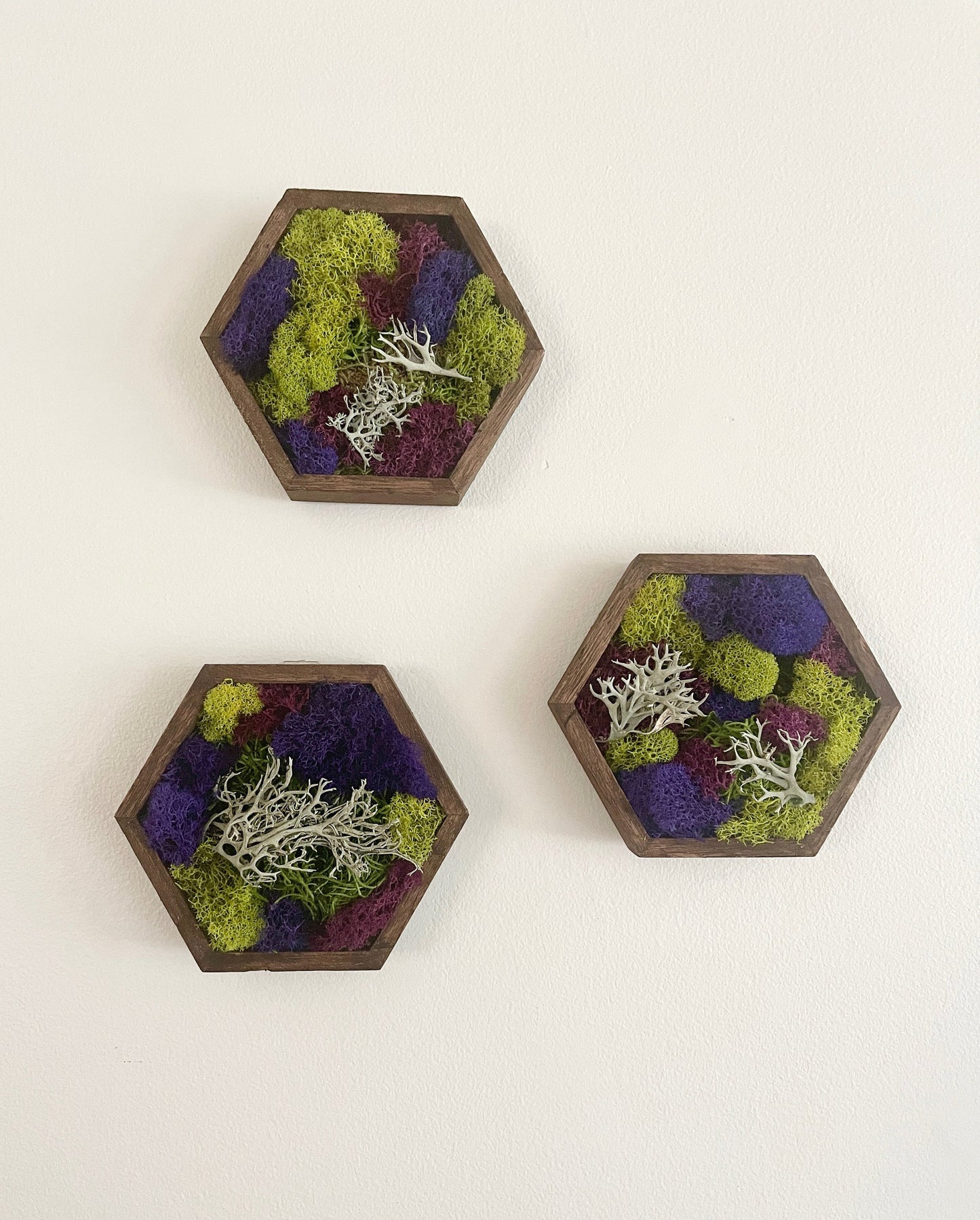 Honeycomb Moss | Wall Art | Home Decor | Wood Hexagon | Green and Mixed Colours