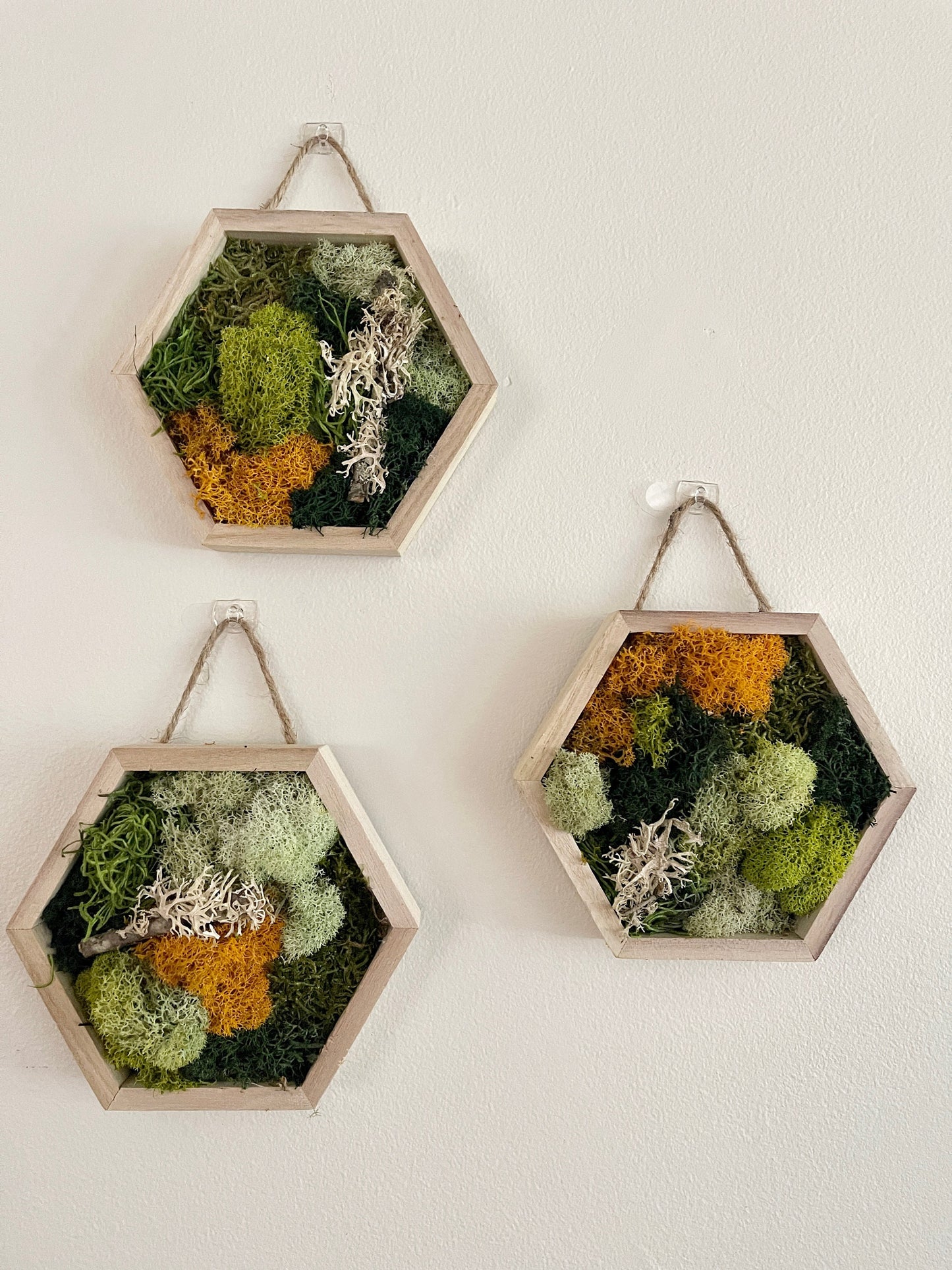Honeycomb Wood Frame Preserved Moss Wall Art: Green & Mustard Decor | USA - TARIFF FREE