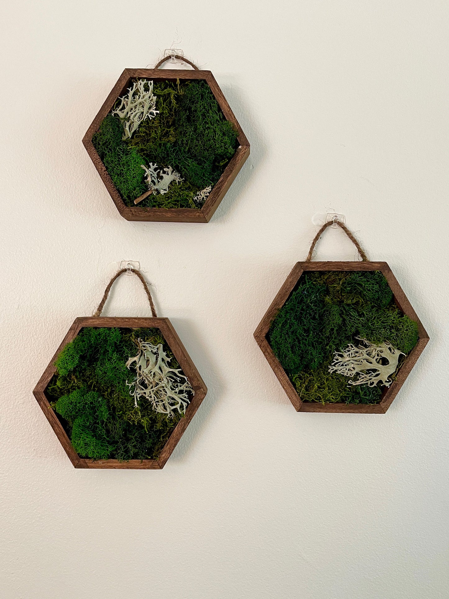 Preserved Moss Wall Art: Wood Hexagon, Green & Brown Decor | USA - TARIFF FREE