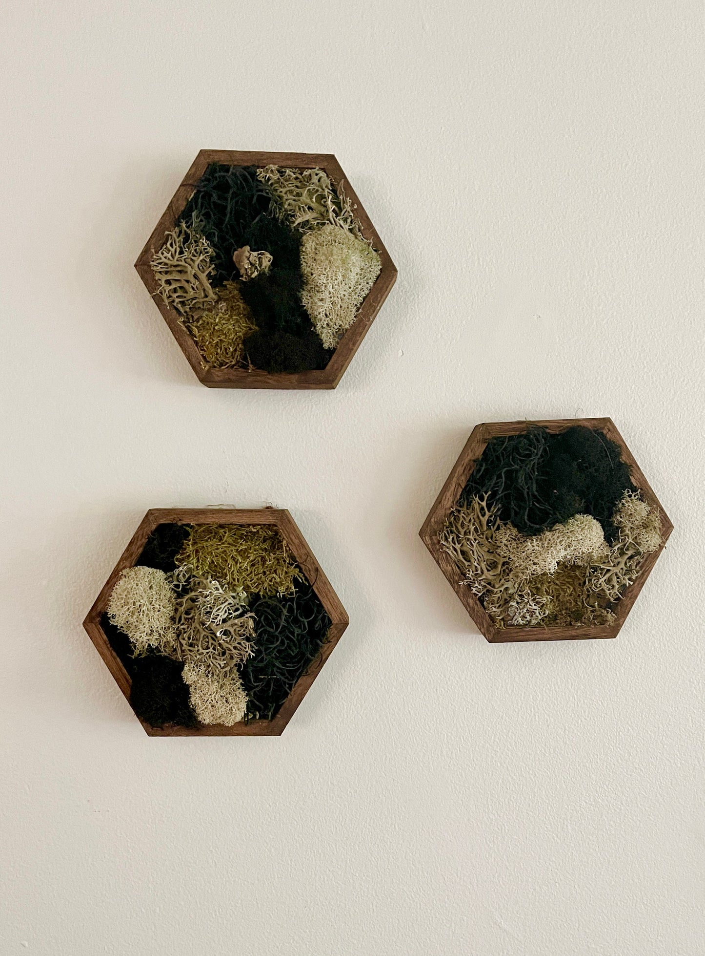 Moss Wall Art | Honeycomb Moss | Home Decor | Wood Hexagon | Brown Beige Black Reindeer Moss