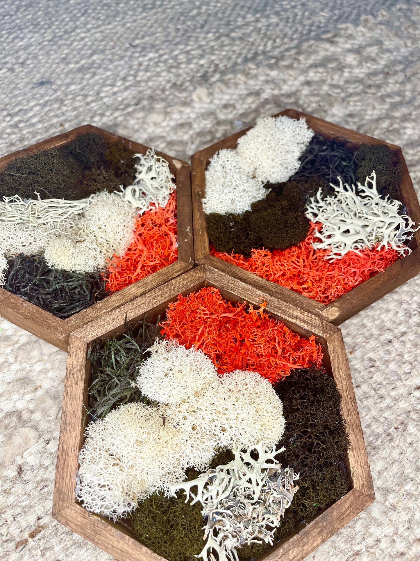 Moss Wall Art | Honeycomb Moss | Home Decor | Wood Hexagon | Black Red and White