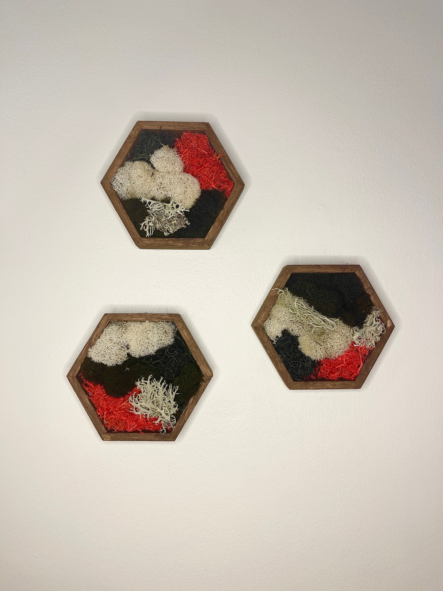 Moss Wall Art | Honeycomb Moss | Home Decor | Wood Hexagon | Black Red and White