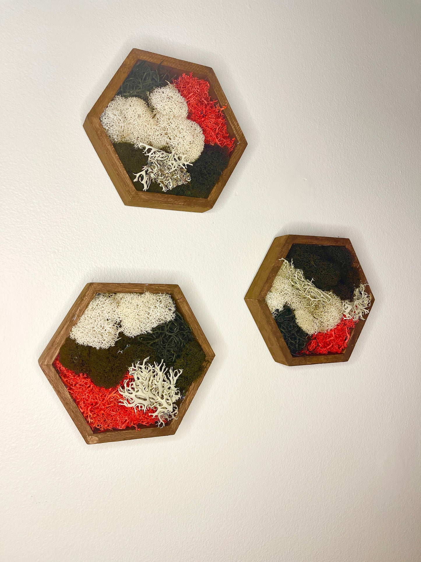 Moss Wall Art | Honeycomb Moss | Home Decor | Wood Hexagon | Black Red and White