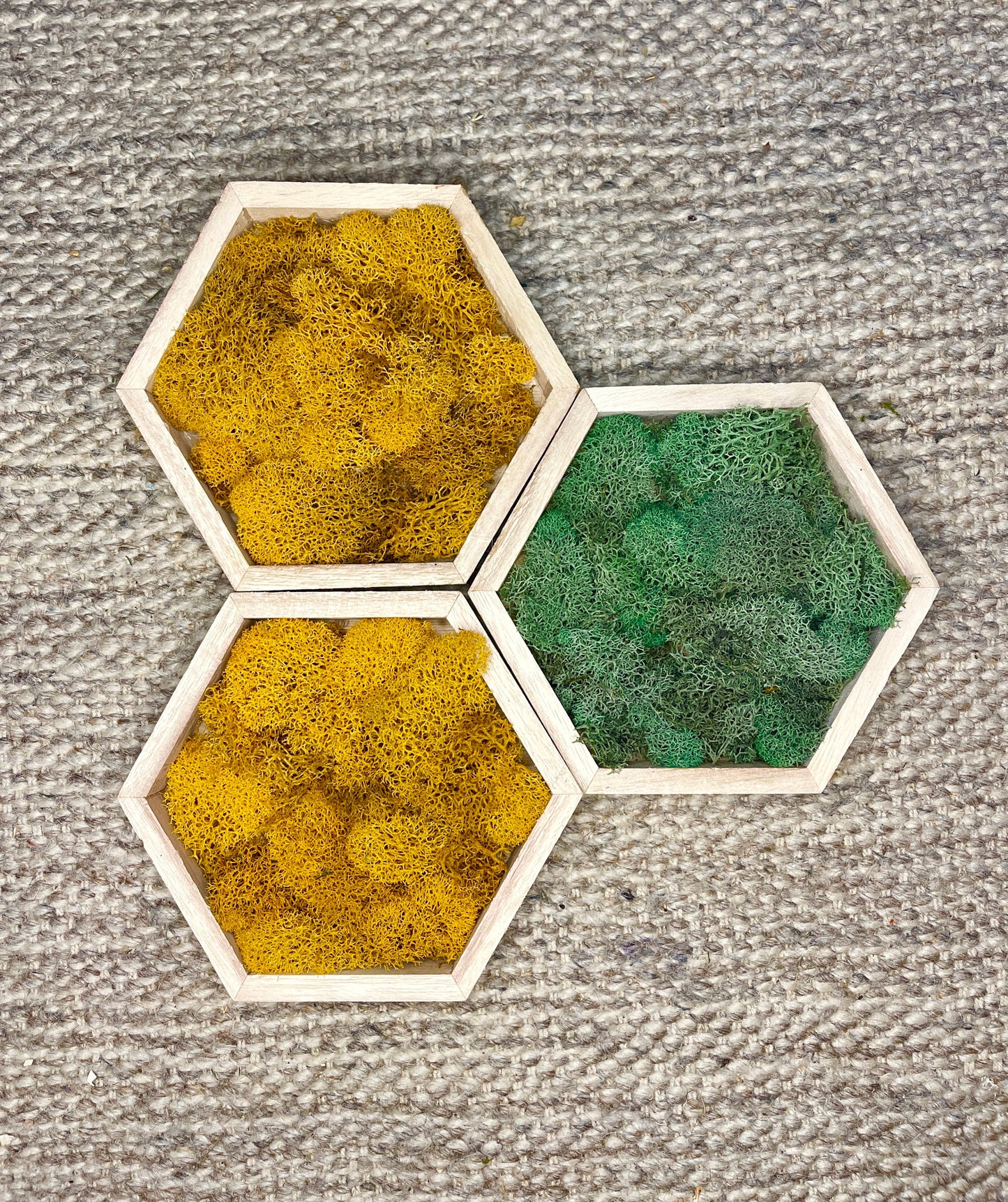 Moss Wall Art | Preserved Moss Wall Decor | One to Set of Twelve | Honeycomb Set | Colours Displayed in Pictures