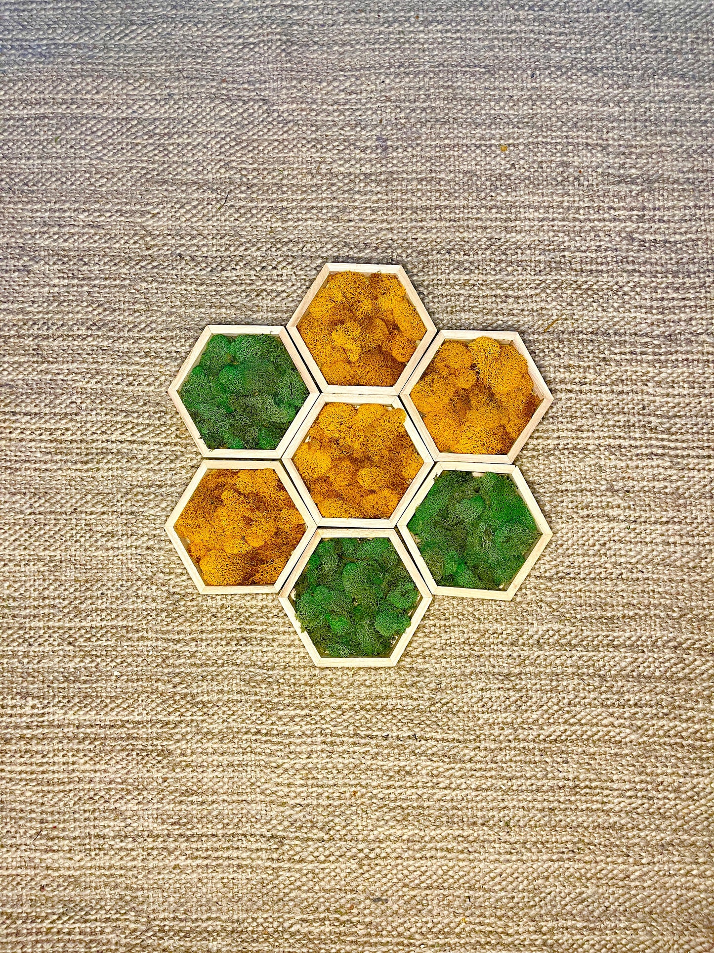Moss Wall Art | Preserved Moss Wall Decor | One to Set of Twelve | Honeycomb Set | Colours Displayed in Pictures