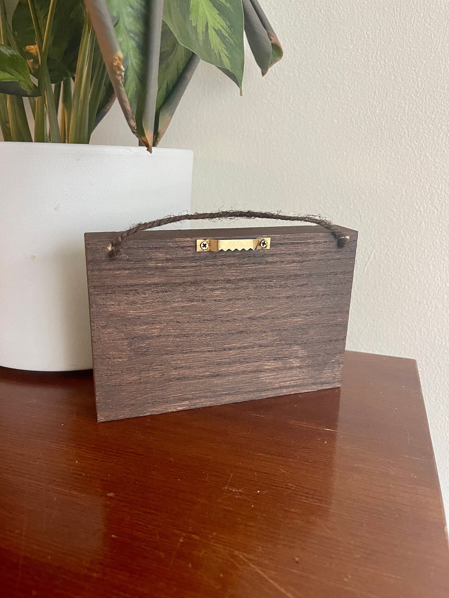 Preserved Moss Wall Art: Framed Reindeer Moss, Green & Beige | USA - TARIFF FREE