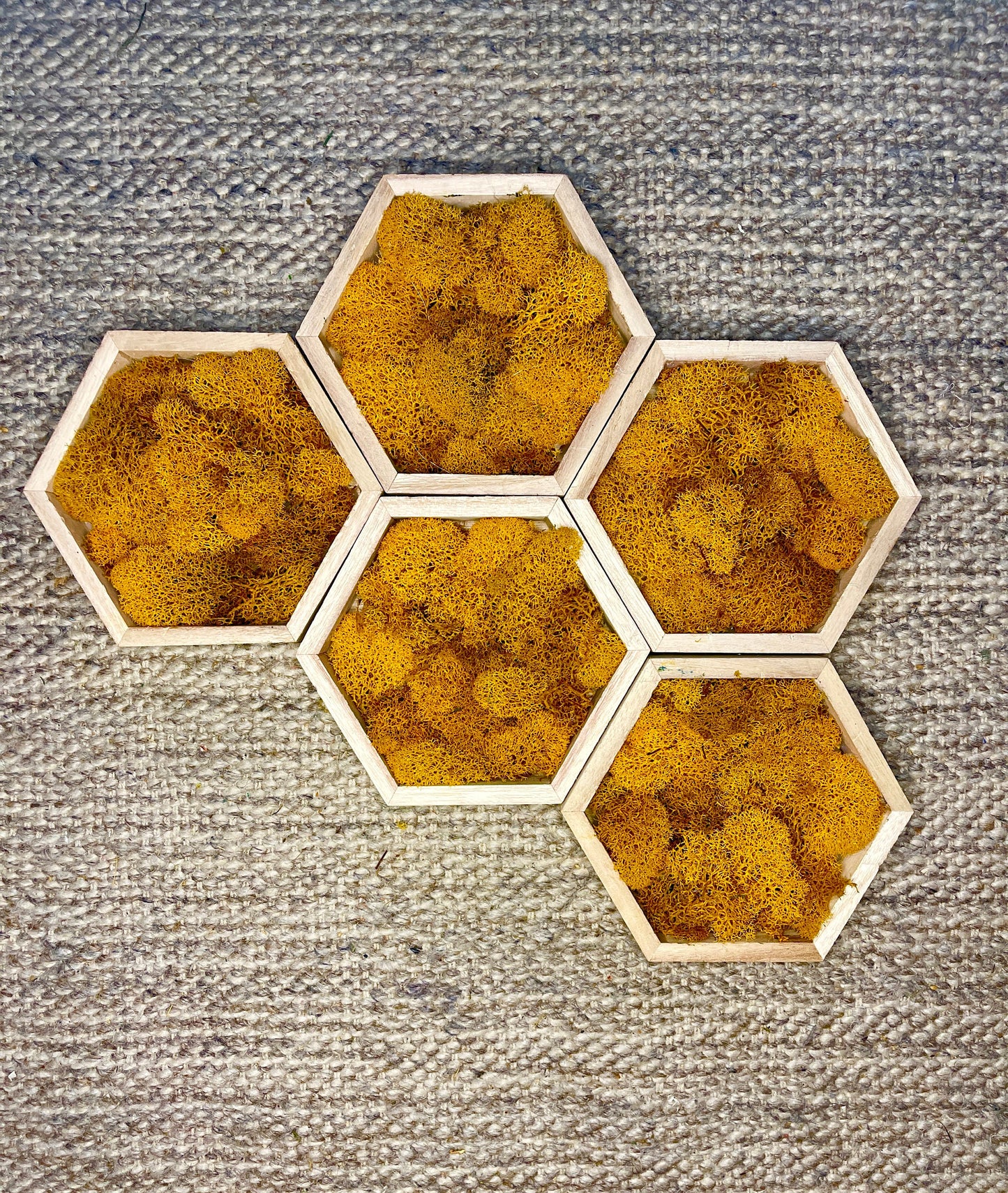 Moss Wall Art | Preserved Moss Wall Decor | One to Set of Twelve | Honeycomb Set | Colours Displayed in Pictures