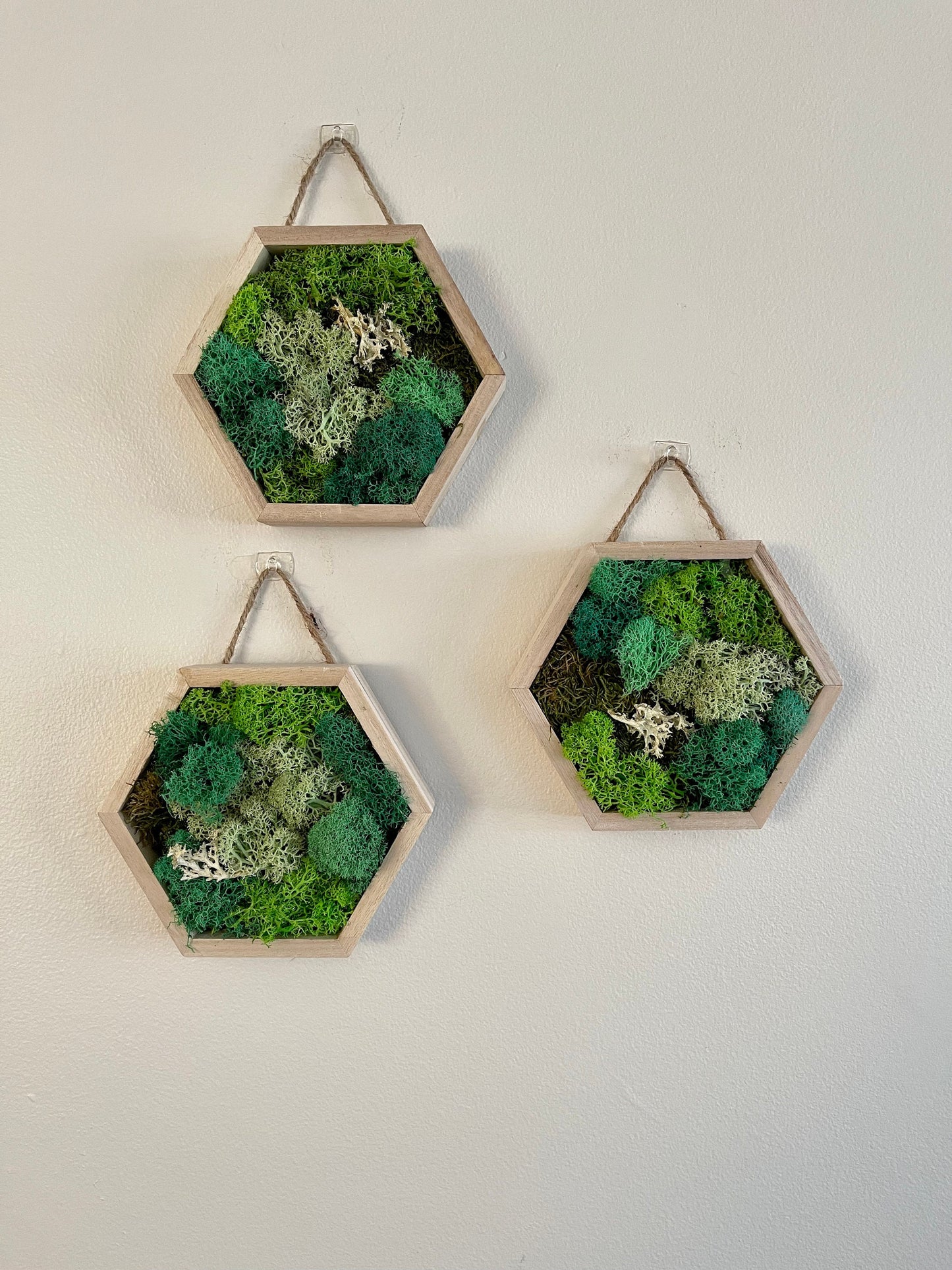 Moss Wall Art | Honeycomb Moss Single to Set of Twelve | Home Decor | Wood Hexagon | Green Grass, Mint, Teal and Beige