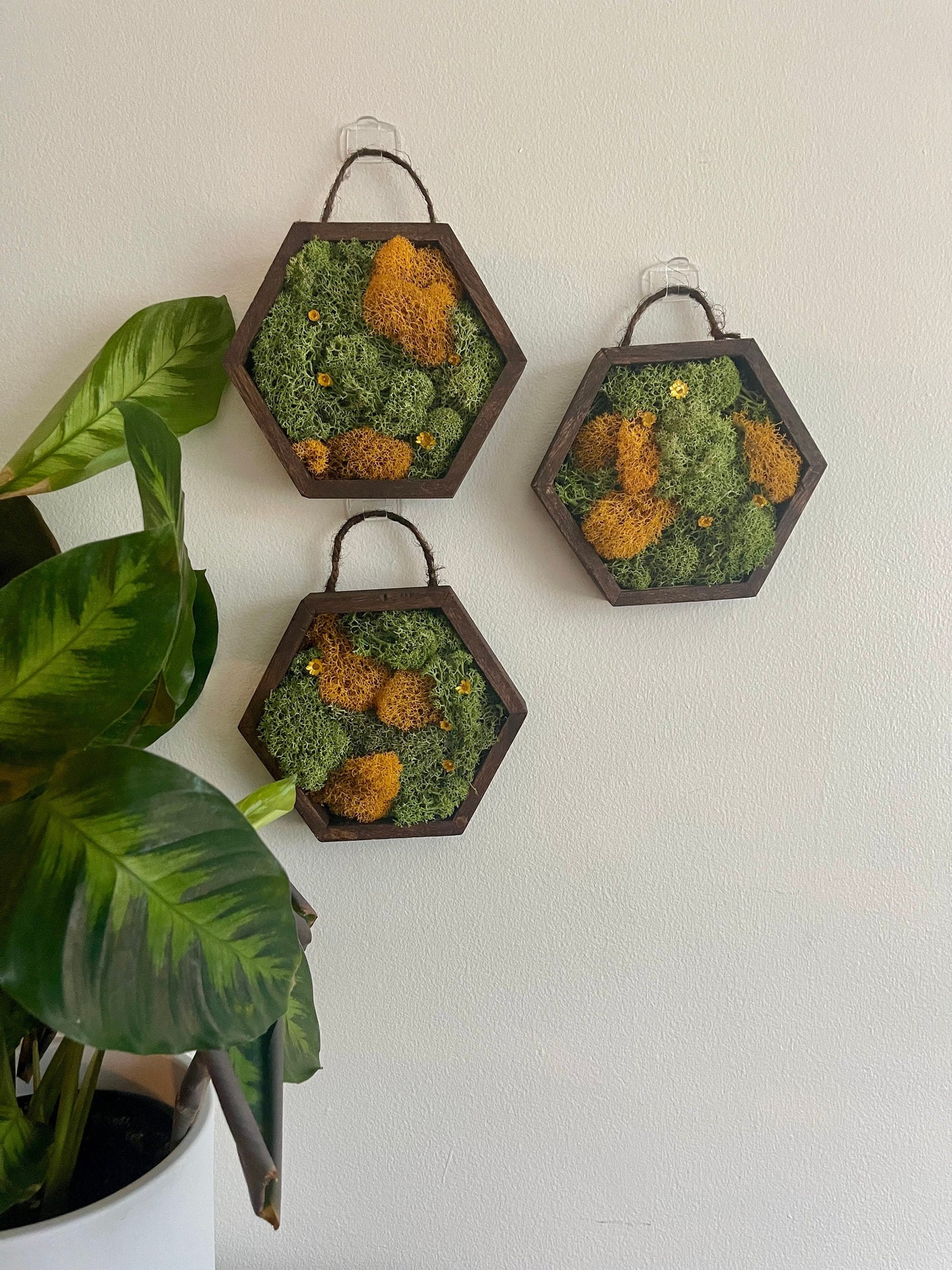 Moss Wall Art | Honeycomb Preserved Moss Art | Home Decor | Wood Hexagon | Green and Mustard - Preserved Flowers