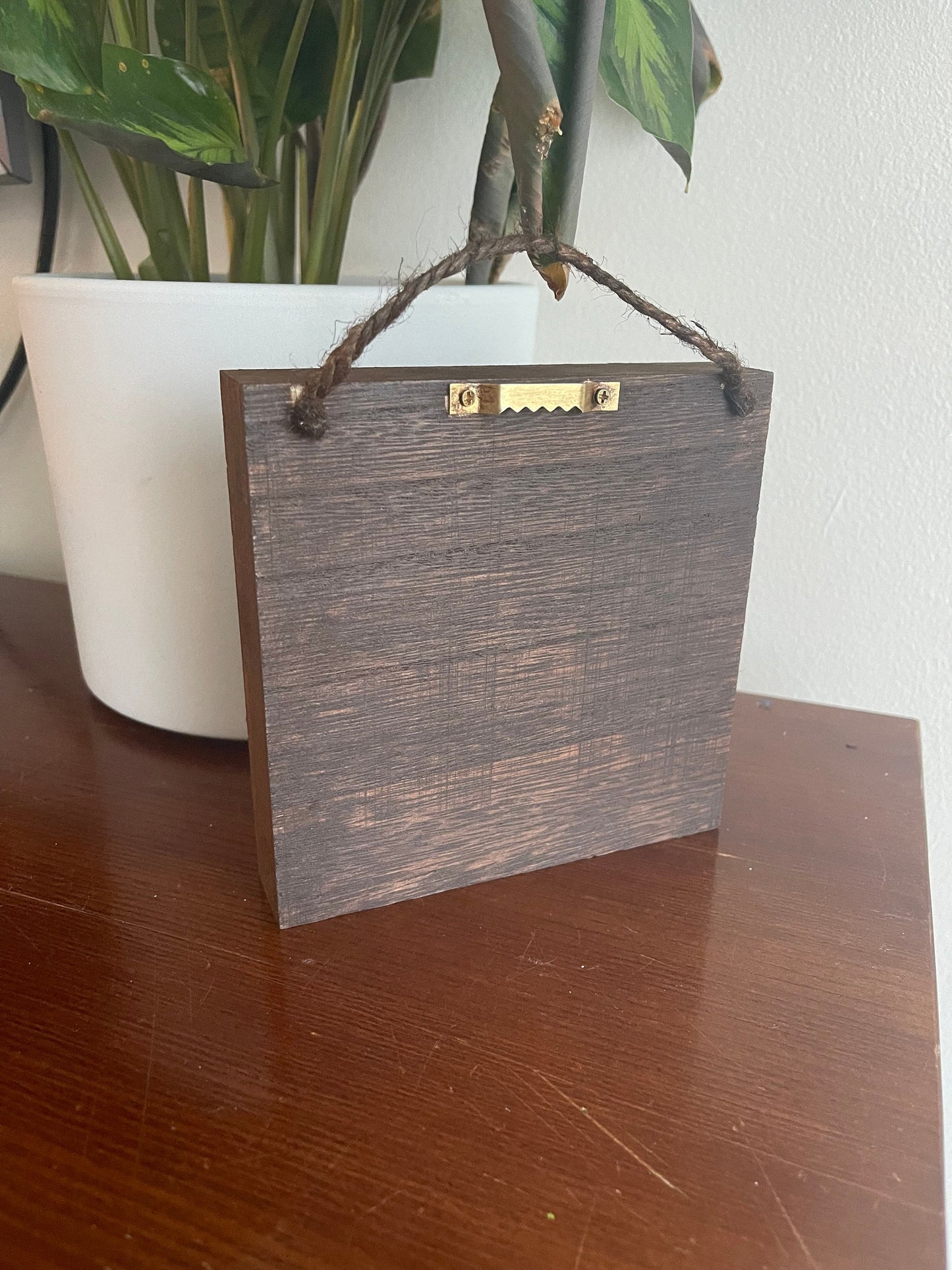 Preserved Reindeer Moss Wall Art: Square Wood Shadowbox | USA - TARIFF FREE