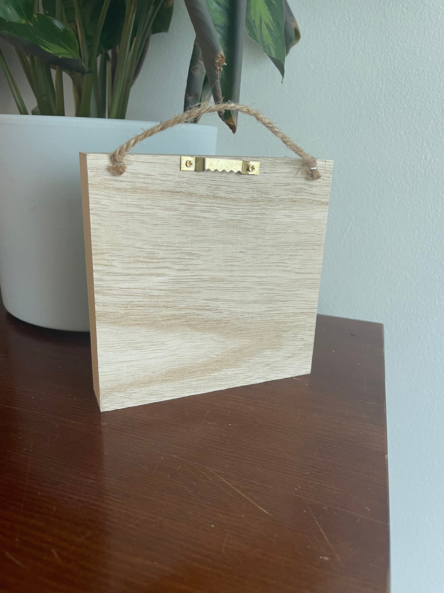 Preserved Reindeer Moss Wall Art: Green & Pink Wood Frame | USA - TARIFF FREE