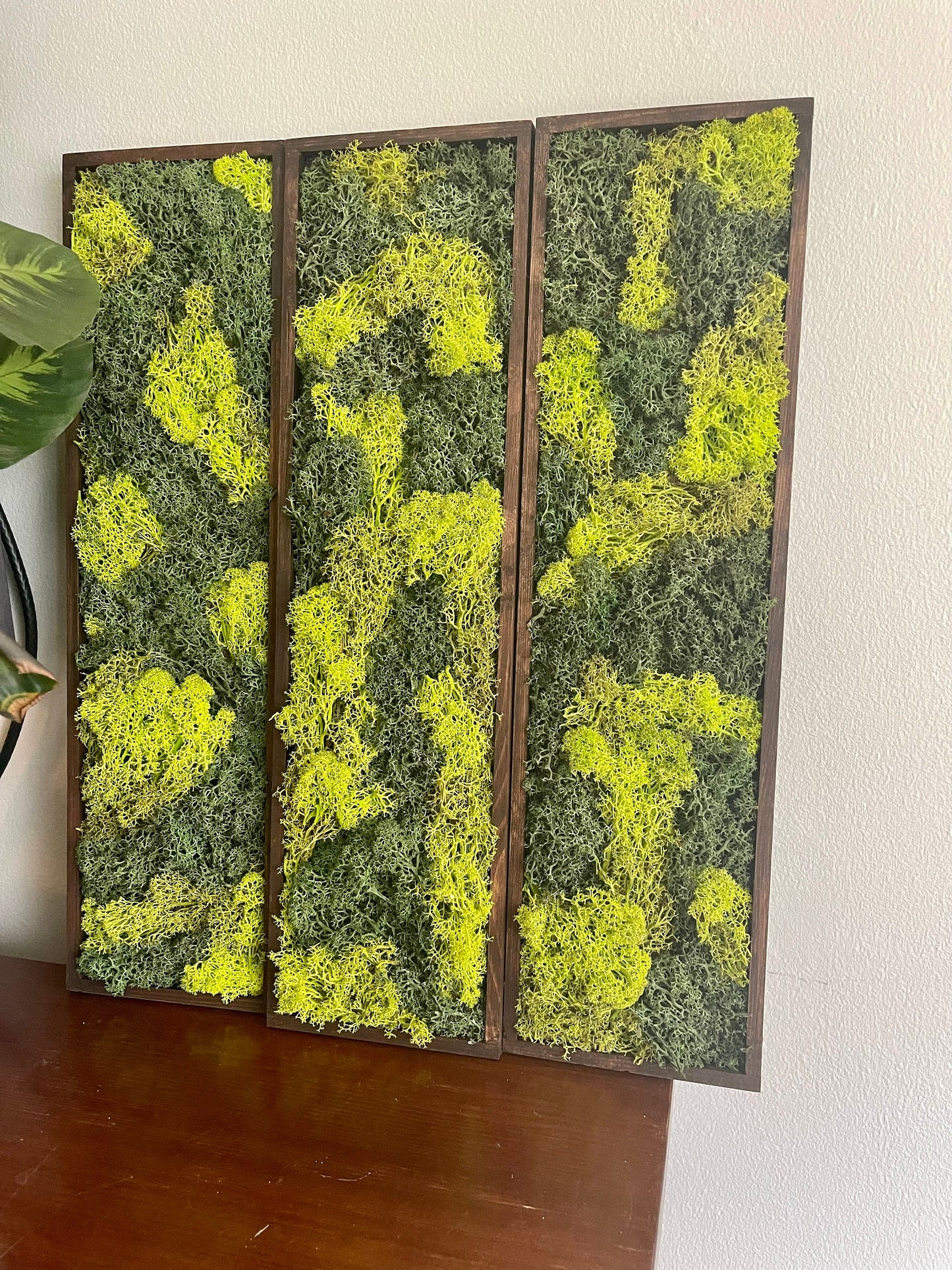 Moss Wall Art | Preserved Moss Art Framed | Moss Wall Decor | Wood Frame | Rectangle Single to Set of Six | Reindeer and Pole Moss