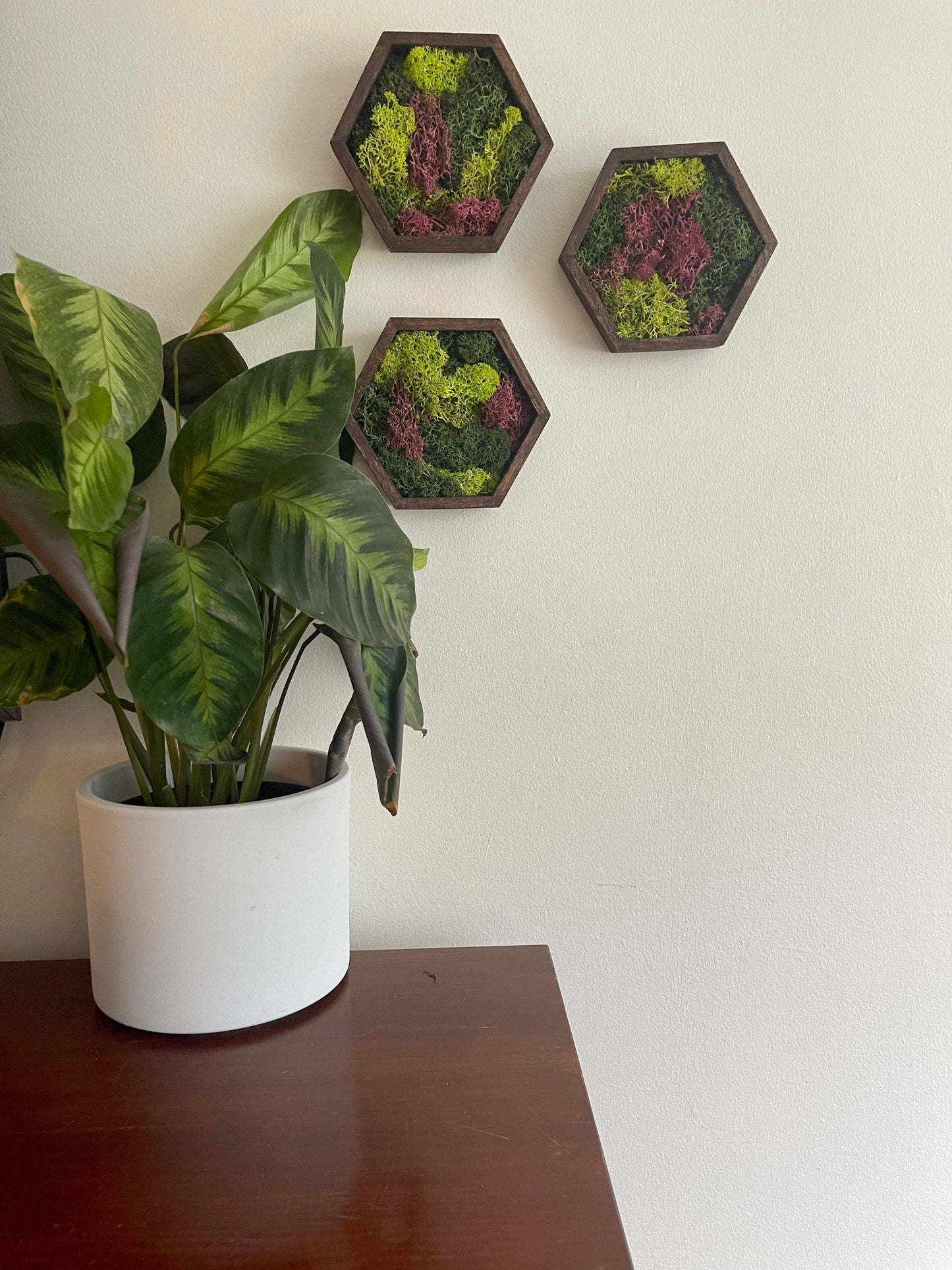 Moss Wall Art | Honeycomb Moss Decor | Single to Set of Twelve | Wood Hexagon | Green and Pink