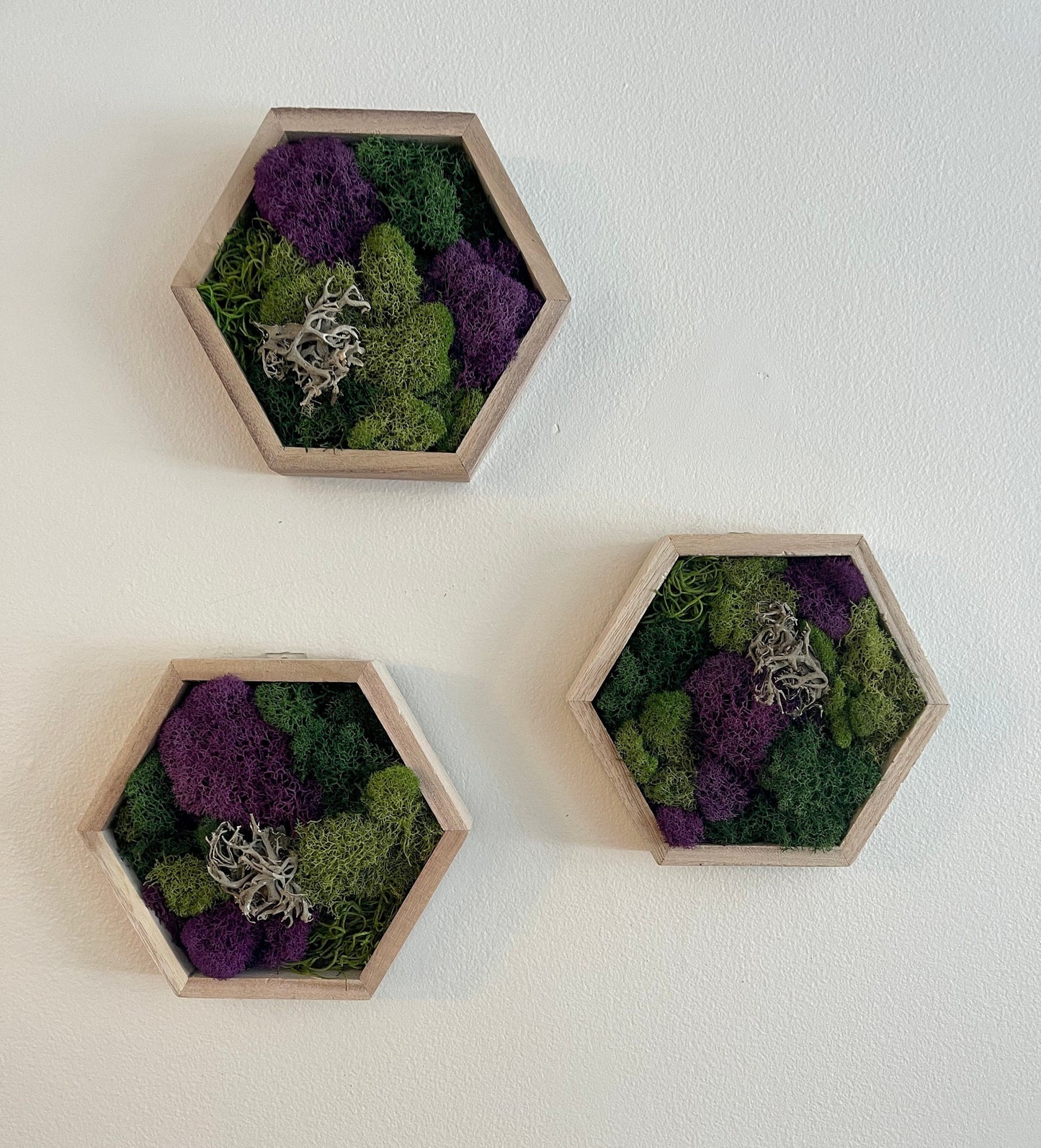Moss Wall Art | Preserved Moss Wall Decor | Home Decor | Moss Wood Hexagon | Green and Purple