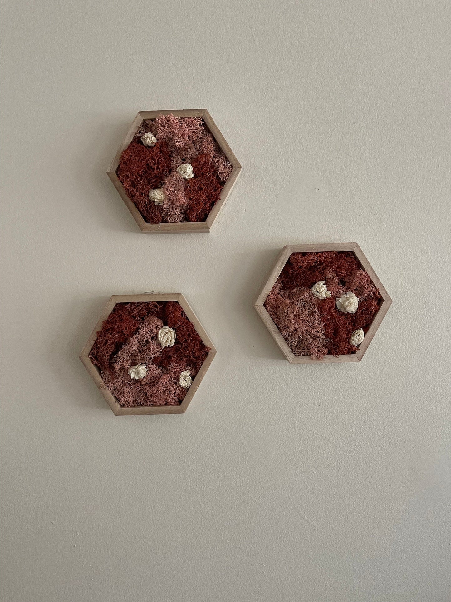 Moss Wall Art | Preserved Moss Wall Decor | Single to Set of Twelve | Wood Hexagon | Pink and White
