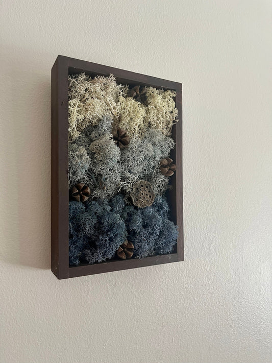 Preserved Reindeer Moss Wall Art: Framed Nature Decor | USA - TARIFF FREE