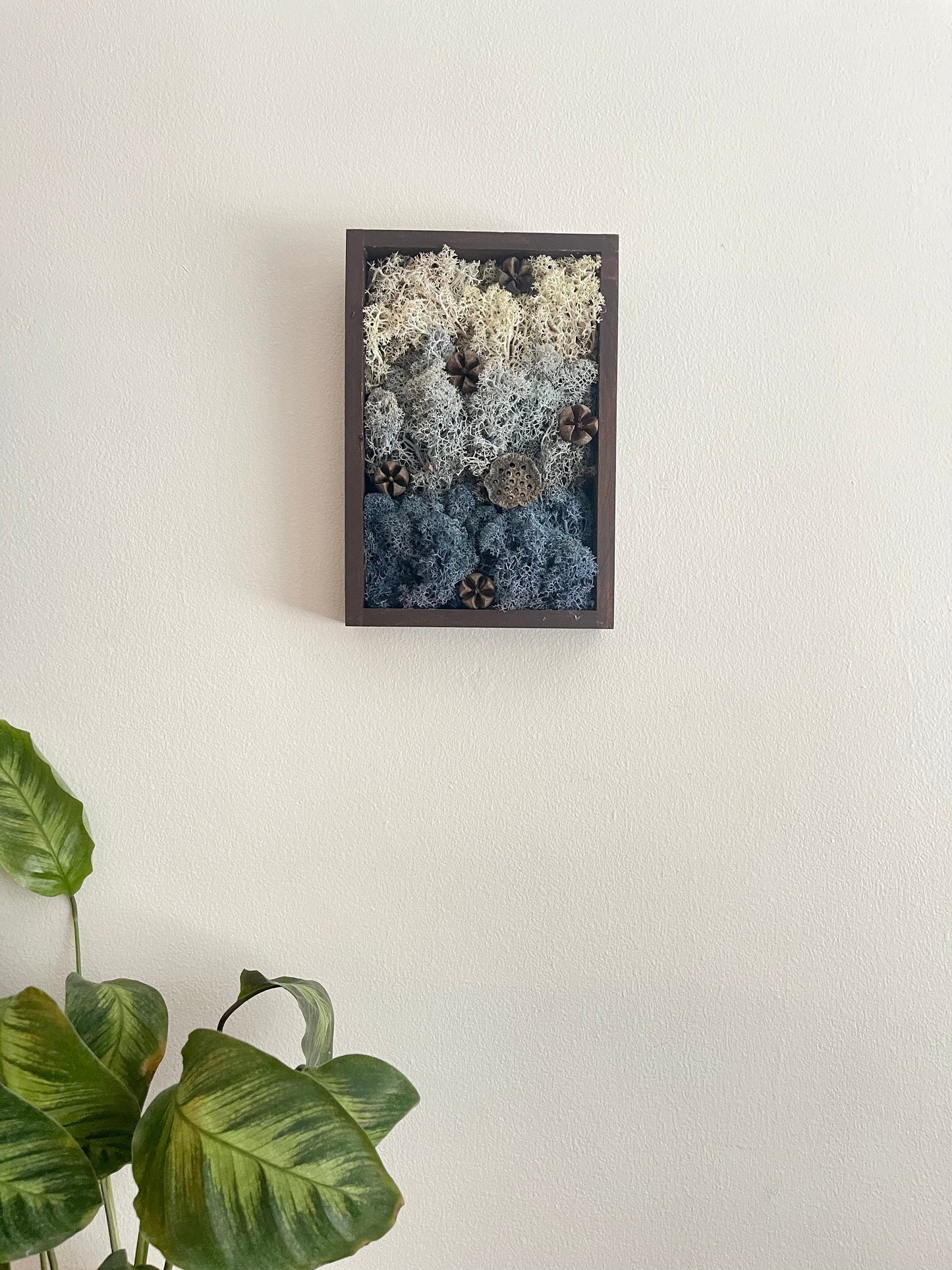 Moss Wall Art | Preserved Moss Art Framed | Rectangle Frame | Water Ice Snow | Mothers Day Gift